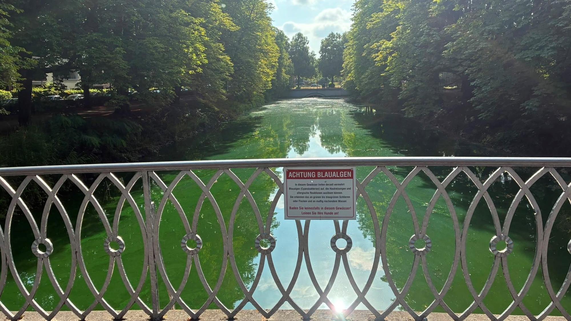 Ein Schild weist auf die Gefahr durch Blaualgen am Clarenbachkanal hin.