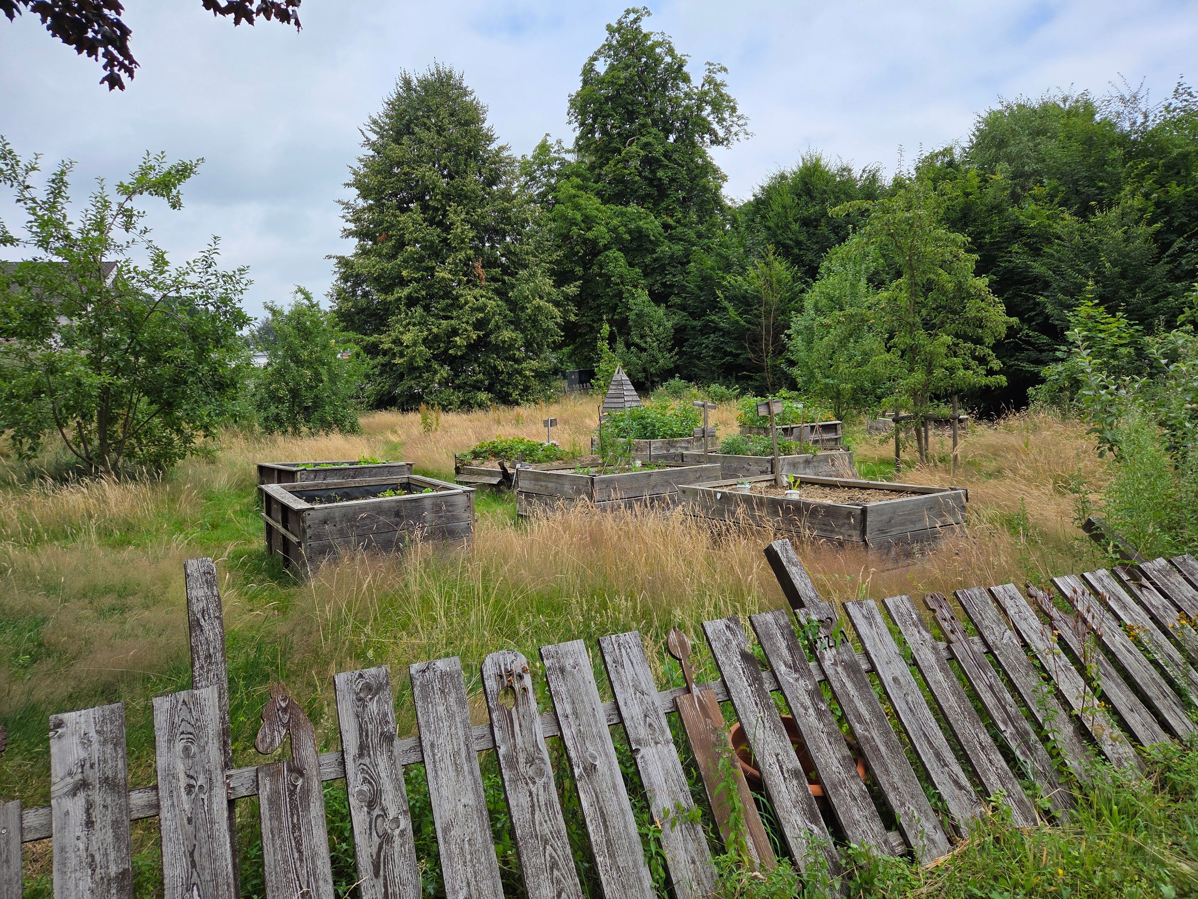 An den Kräuterbeeten im früheren Netzwerk-Garten durfte sich jeder bedienen. Doch jetzt verwildert das Projektgelände in der Stadtmitte von Waldbröl erneut.
