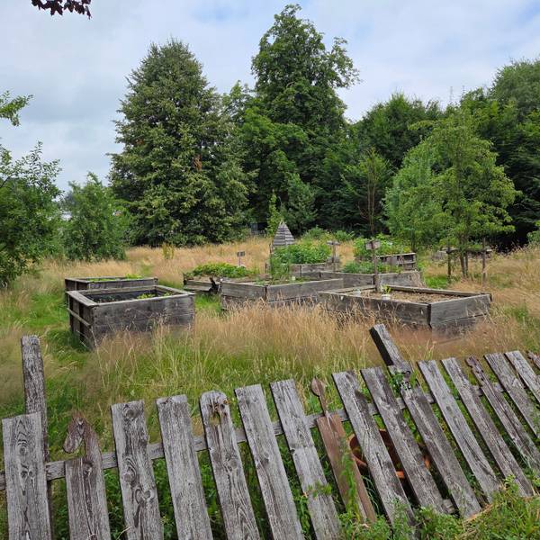 An den Kräuterbeeten im früheren Netzwerk-Garten durfte sich jeder bedienen. Doch jetzt verwildert das Projektgelände in der Stadtmitte von Waldbröl erneut.