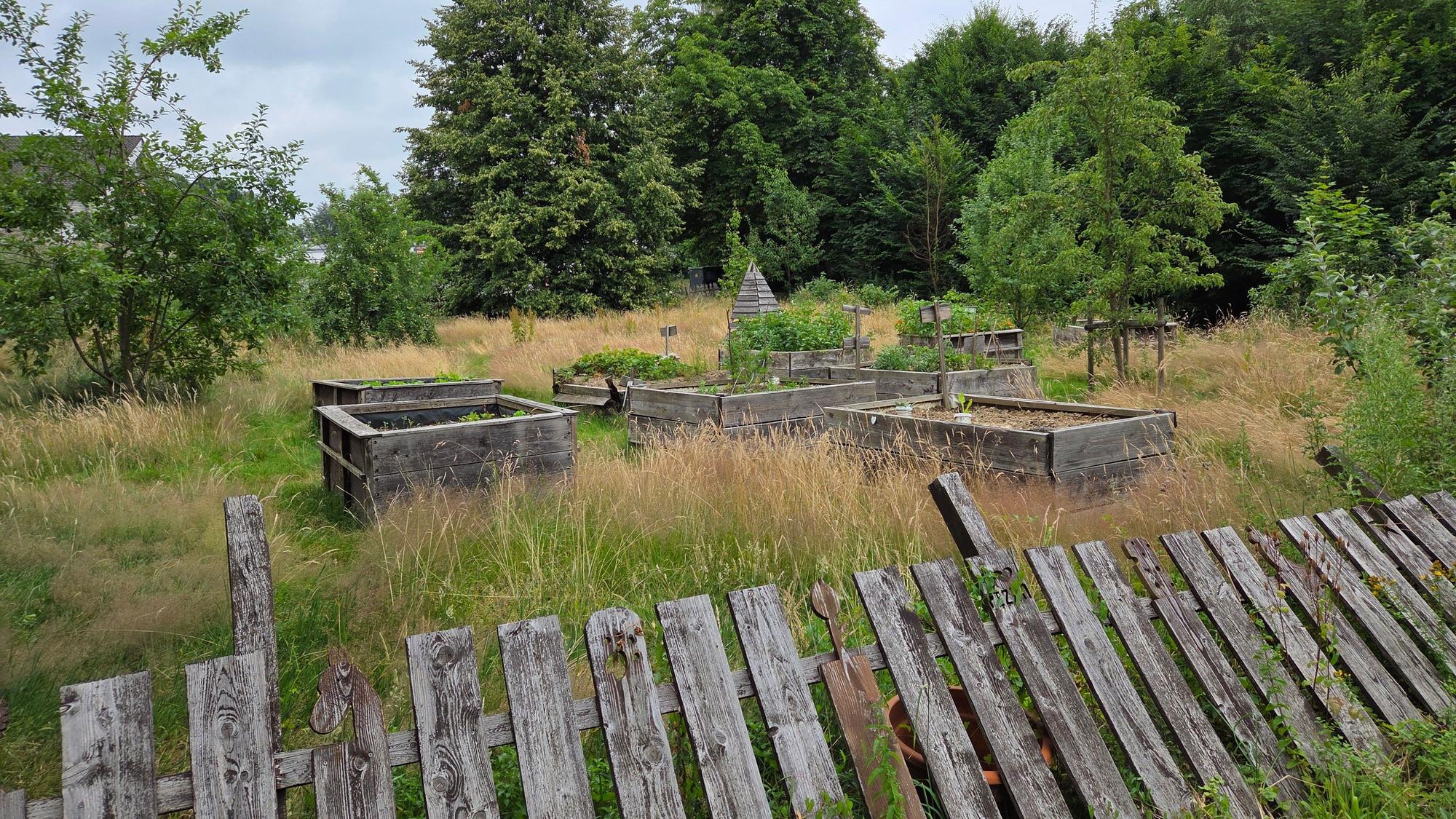 An den Kräuterbeeten im früheren Netzwerk-Garten durfte sich jeder bedienen. Doch jetzt verwildert das Projektgelände in der Stadtmitte von Waldbröl erneut.
