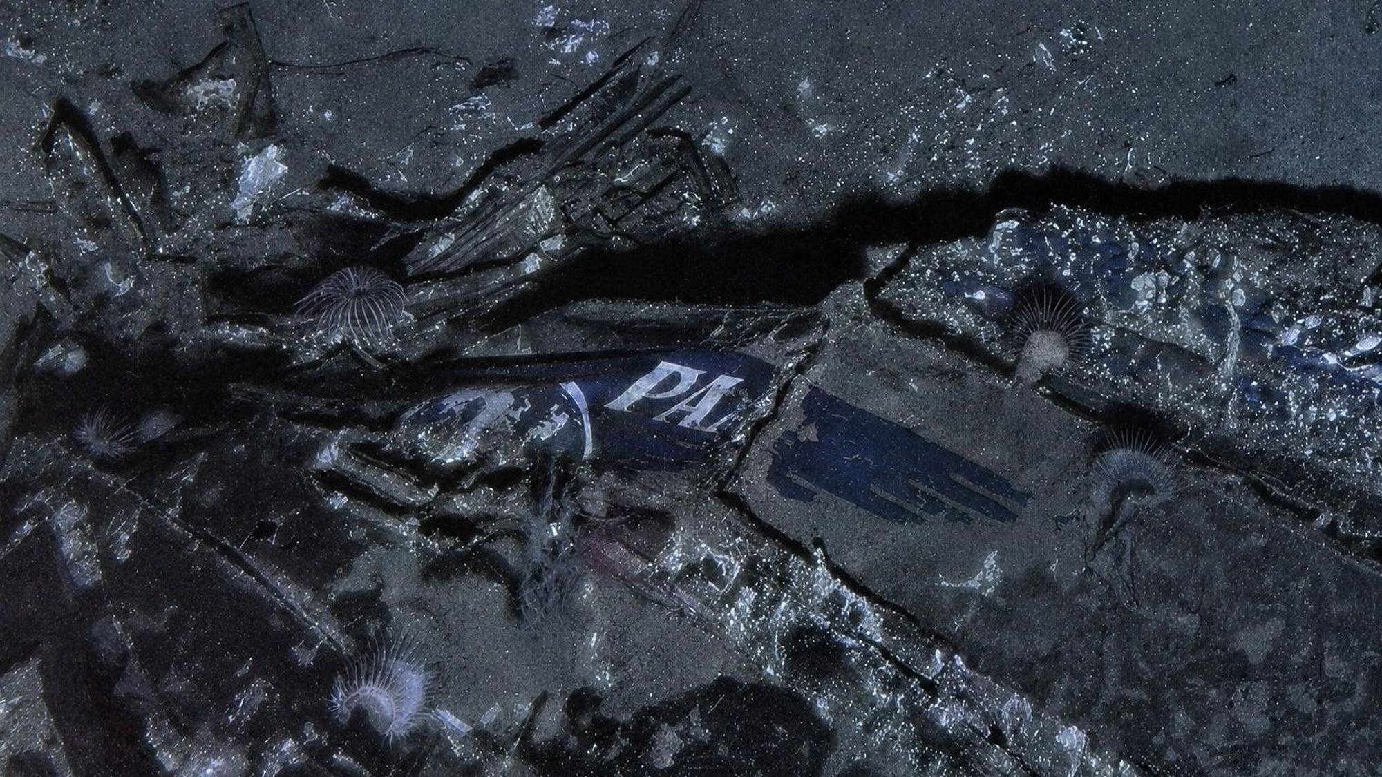 Dieses zusammengesetzte Bild, das von der Air/Sea Heritage Foundation und Deep Sea Vision zur Verfügung gestellt wurde, zeigt ein Logo der Pan American World Airways am Bug des Wracks der „Clipper Endeavor“. Das Wrack der Maschine wurde nach mehr als 70 Jahren gefunden.