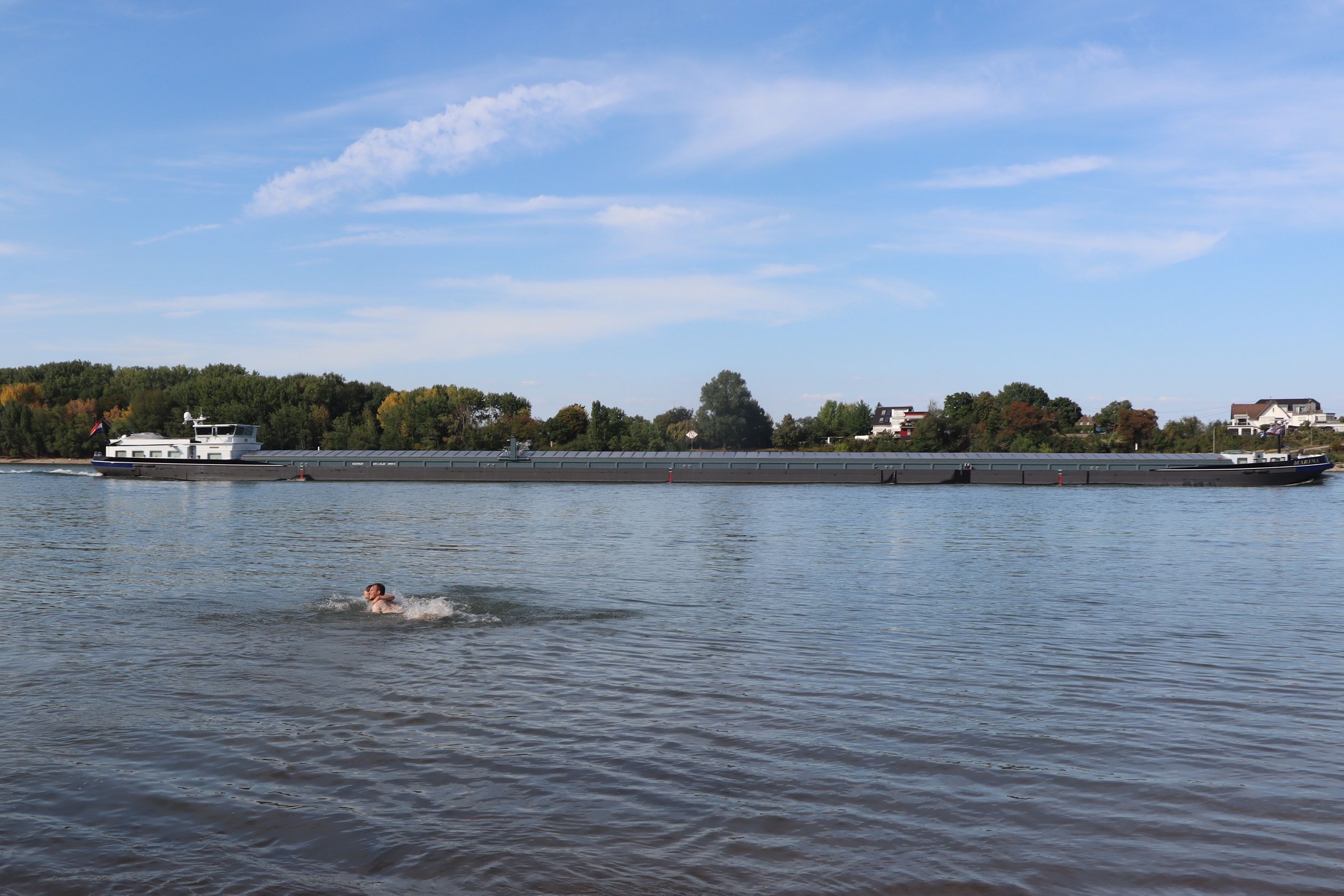 Schwimmen im Rhein ist und bleibt gefährlich - das Foto der beiden Erwachsenen, die sich hier im Rhein in Wesseling abkühlen, entstand im August 2025.