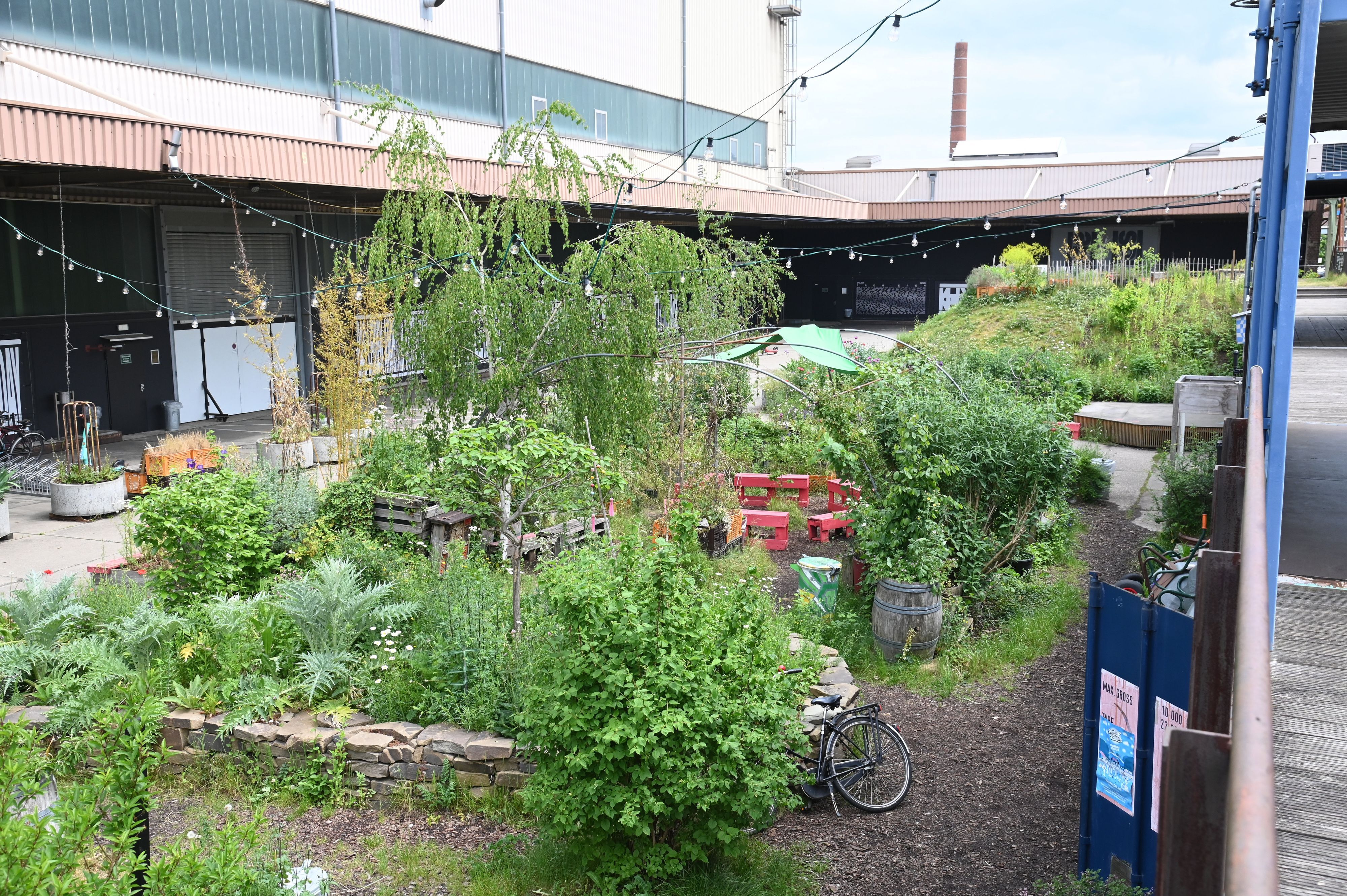 08.05.2026 Köln. Der Carlsgarten am aktuellen Standort von Schauspiel und Depot in Mülheim. Der Carlsgarten soll demnächst umgestaltet werden, das kritisiert die Mülheimer Politik.