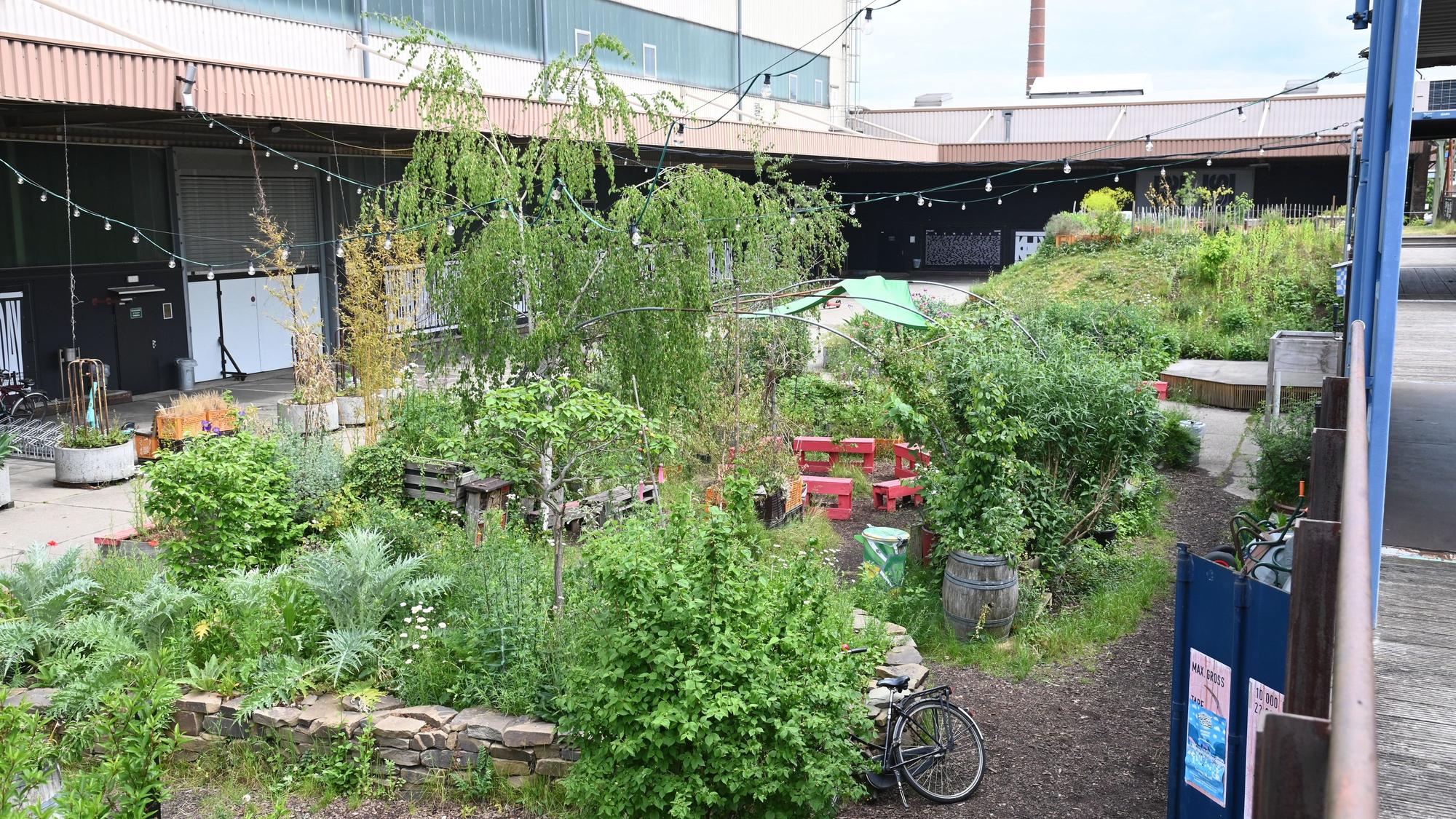 08.05.2026 Köln. Der Carlsgarten am aktuellen Standort von Schauspiel und Depot in Mülheim. Der Carlsgarten soll demnächst umgestaltet werden, das kritisiert die Mülheimer Politik.