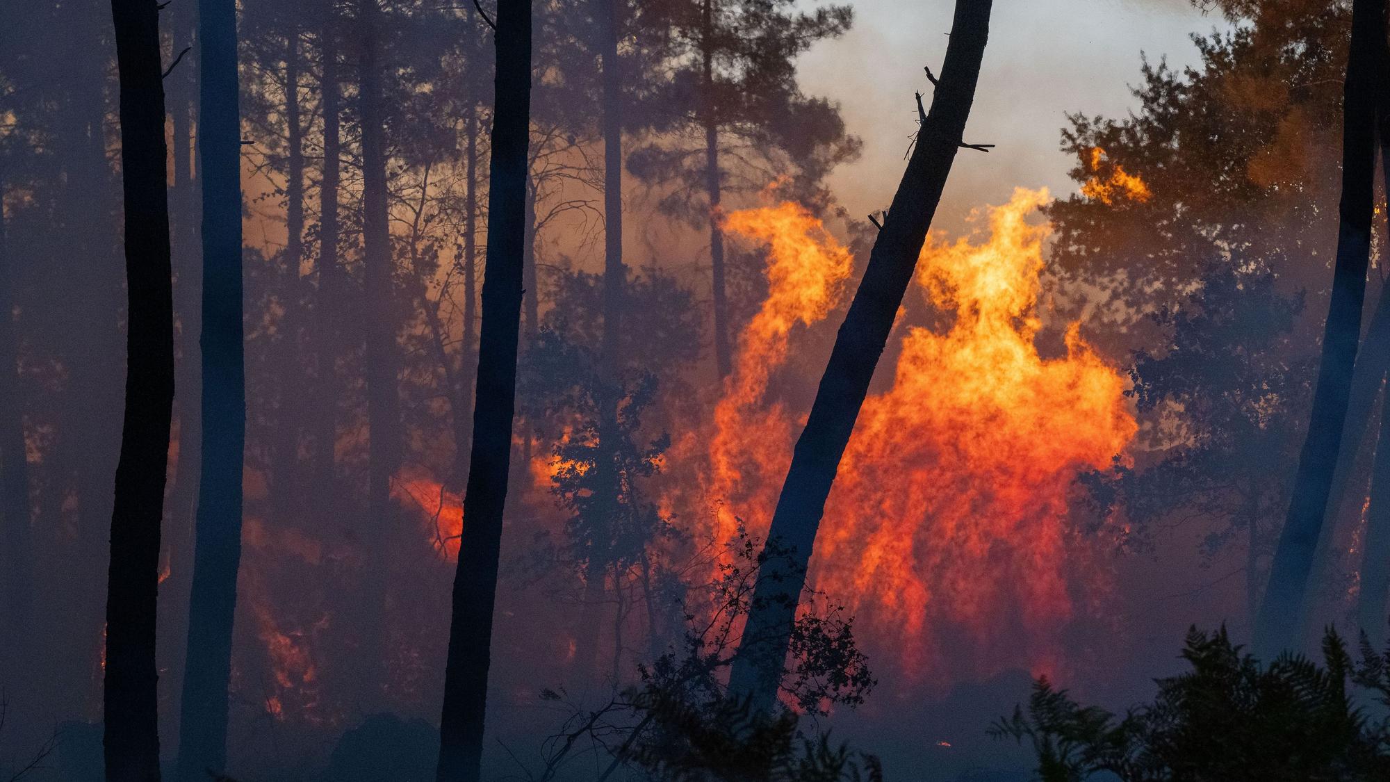 Ein Waldbrand breitet sich in der Nähe der Region Le Proge im Westen Frankreichs aus.