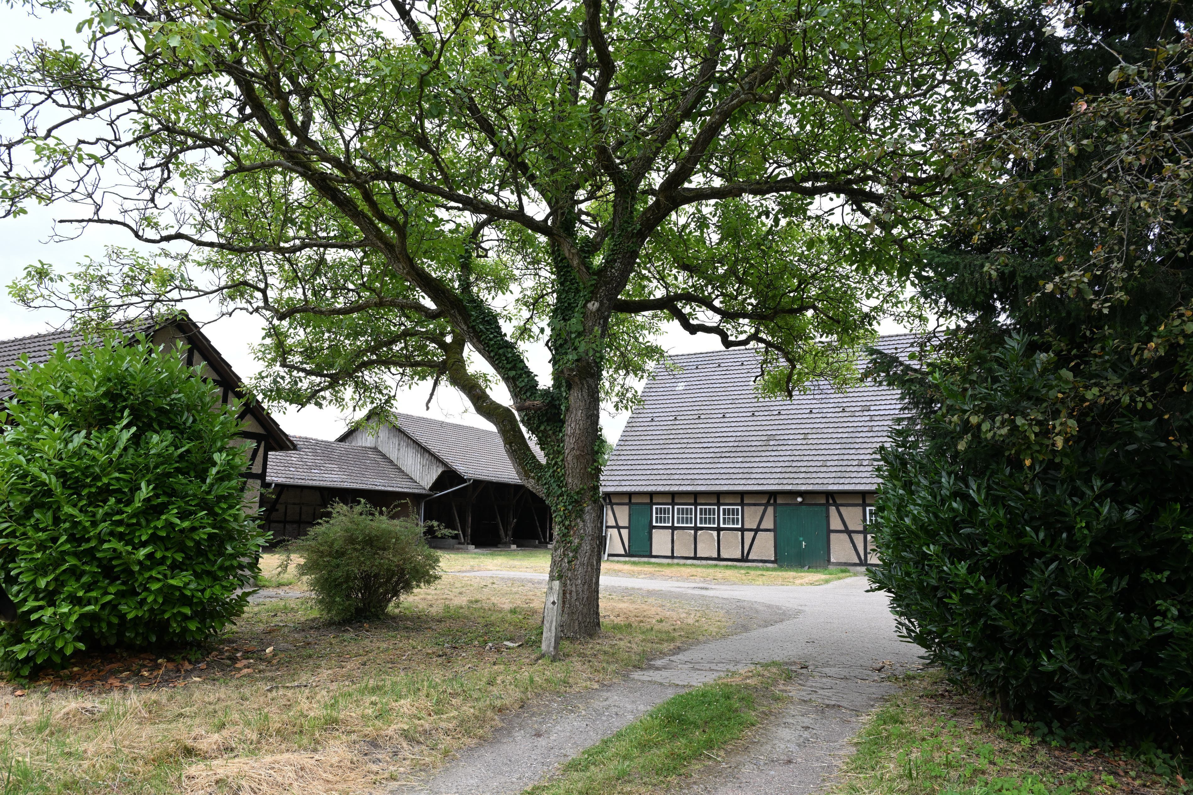 Platz-f-r-kreative-K-pfe-Gut-Pl-tzchen-in-Bergisch-Gladbach-sucht-einen-neuen-Besitzer