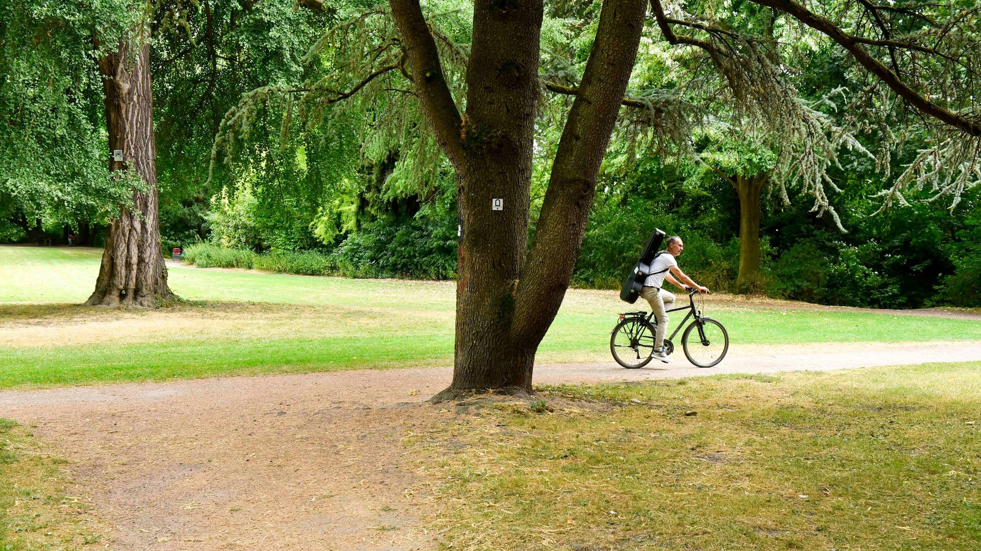 Ein Mann fährt auf einem Fahrrad durch einen Park.