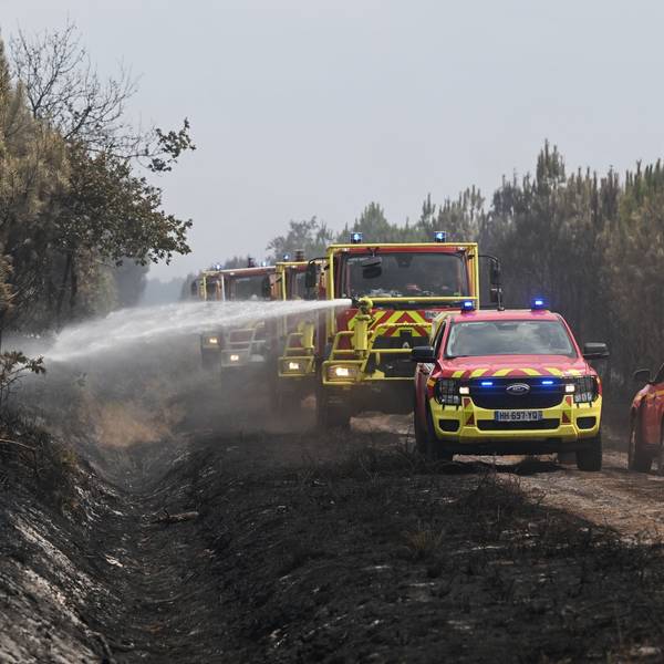 Waldbrände in Frankreich
