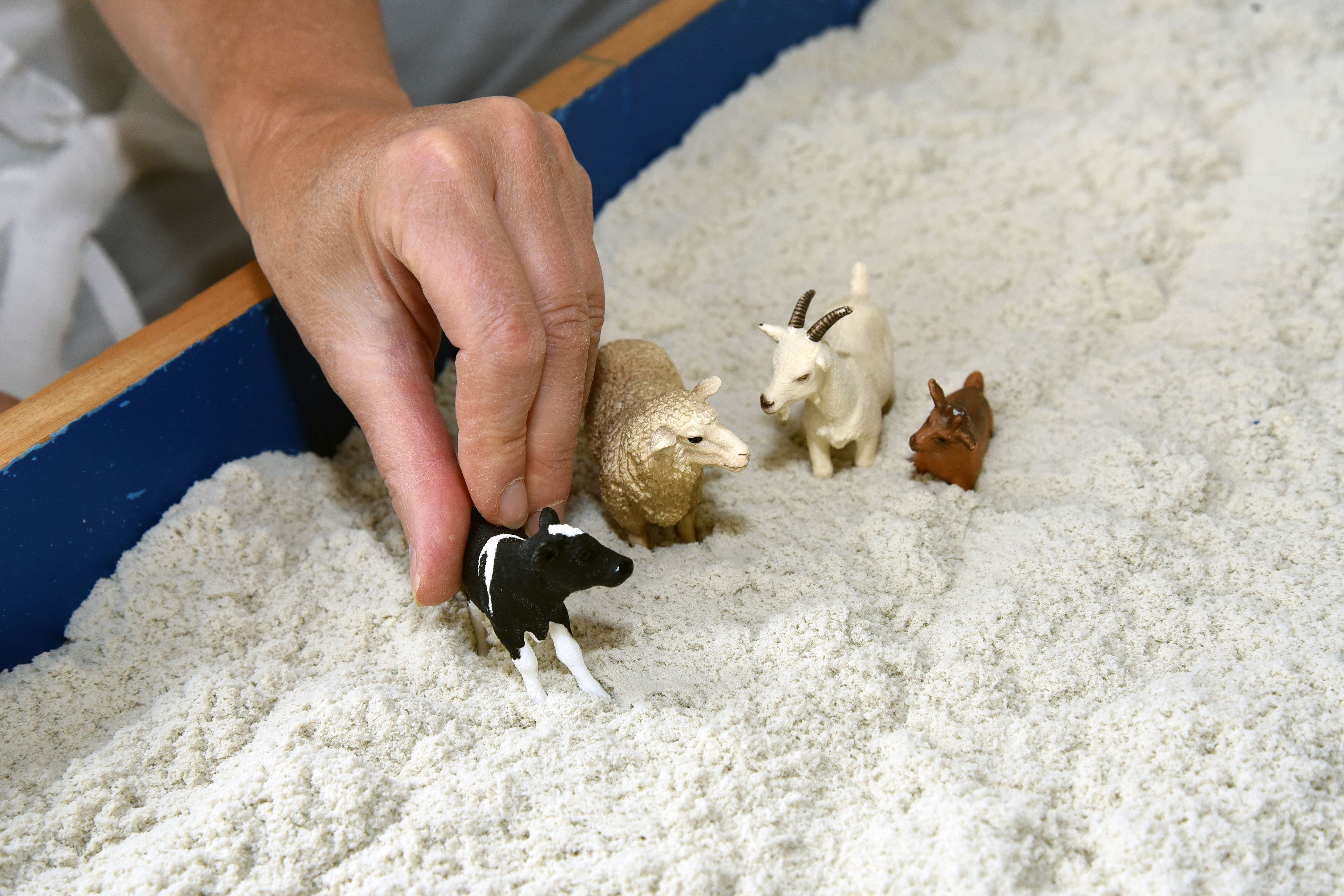 Das Foto zeigt kleine Tier-Figuren in einem Sandkasten.