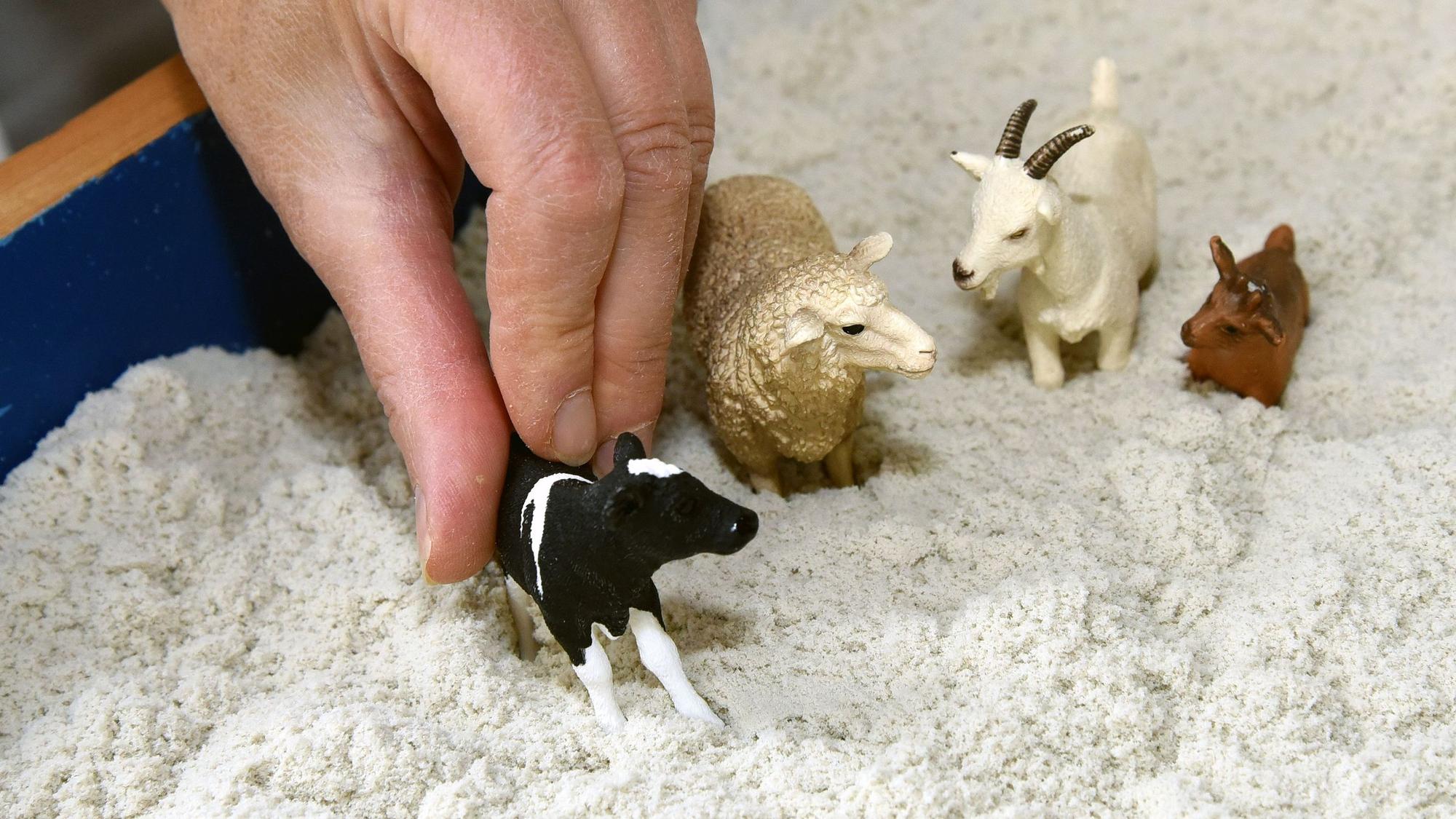 Das Foto zeigt kleine Tier-Figuren in einem Sandkasten.