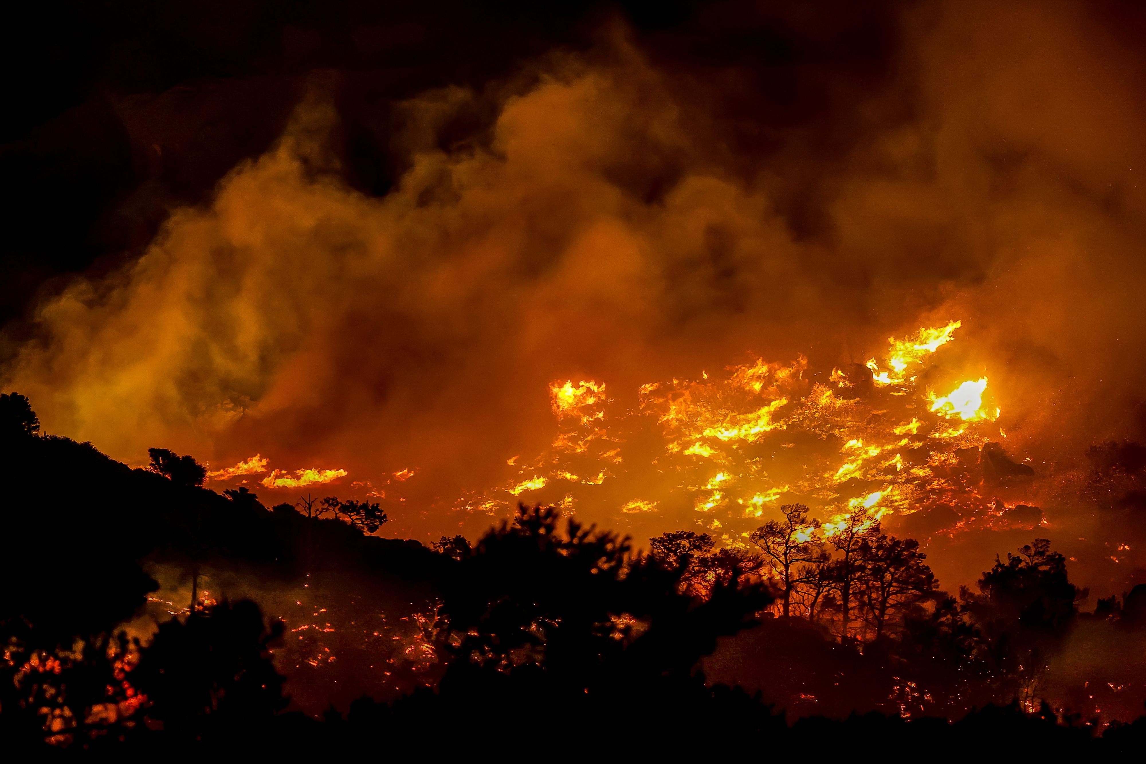 Ein Waldbrand auf der griechischen Insel Kreta. (Archivbild)