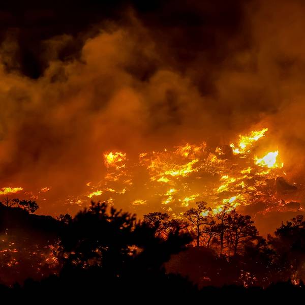 Ein Waldbrand auf der griechischen Insel Kreta. (Archivbild)