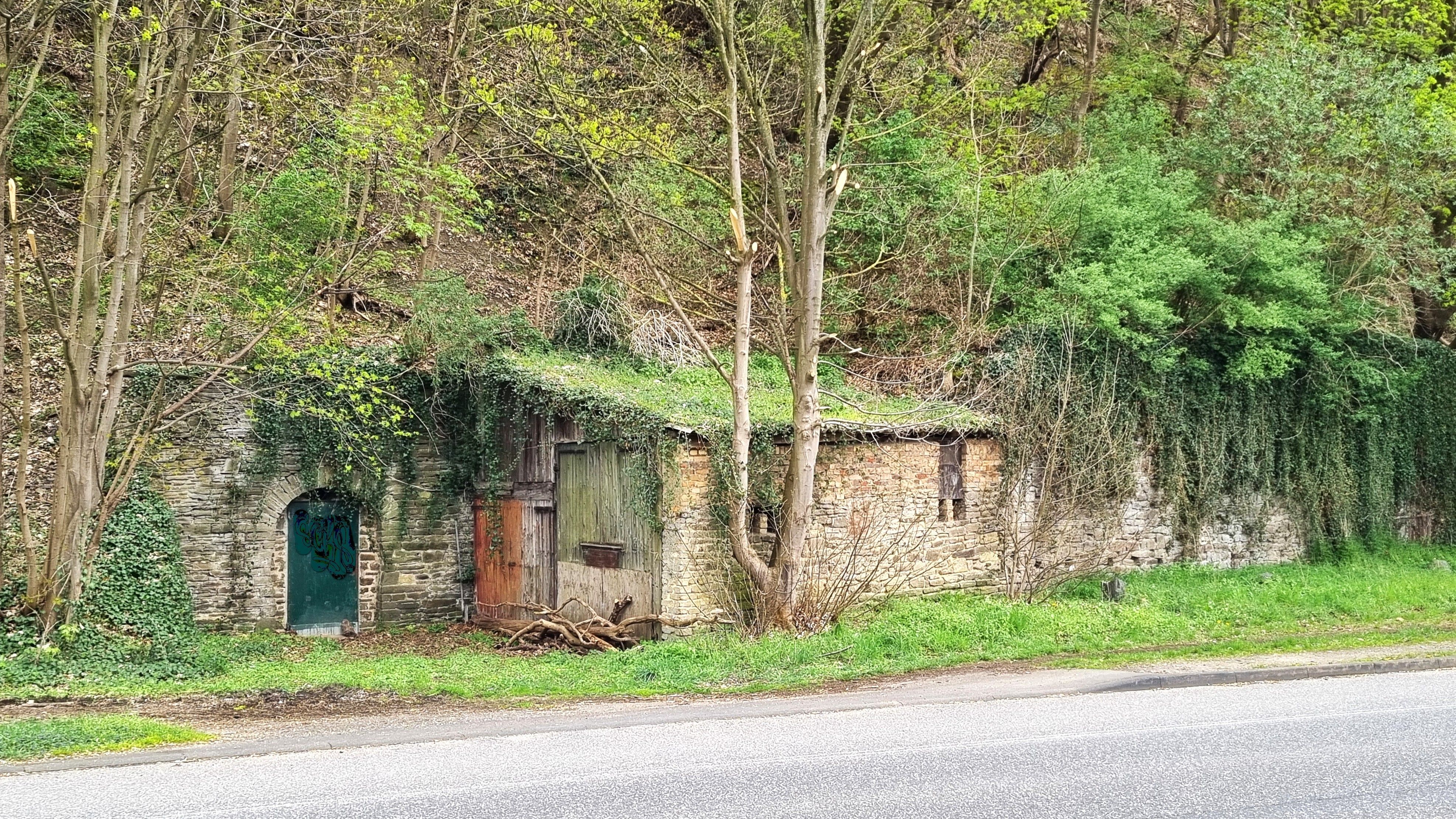 Das Bild zeigt ein altes Gebäude mit bewachsenem Dach an einem Berghang, daneben eine Tür.