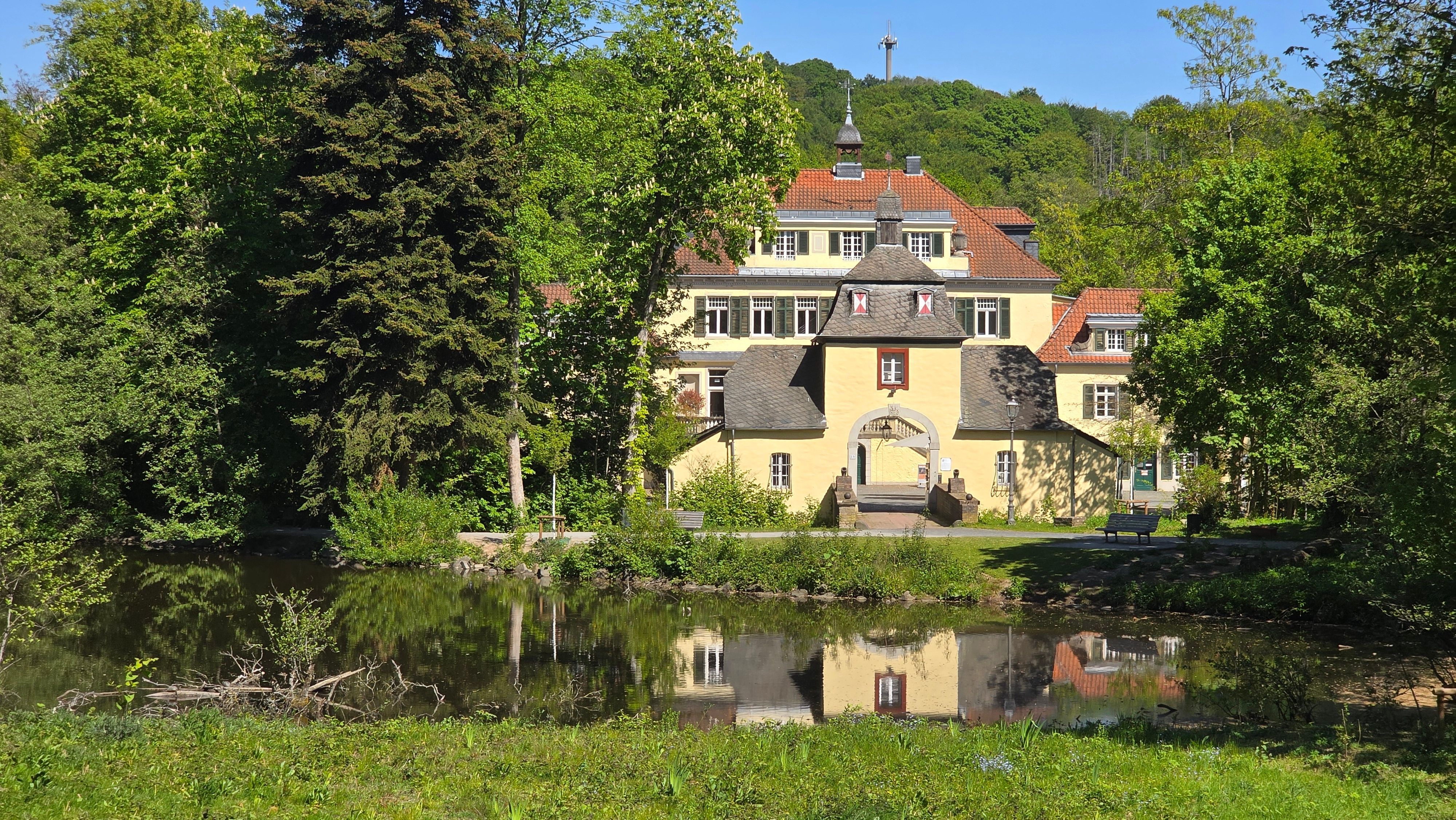 Ein gelb gestrichenes Schloss in der Ferne, davor ein Teich, gesäumt von grünen Bäumen