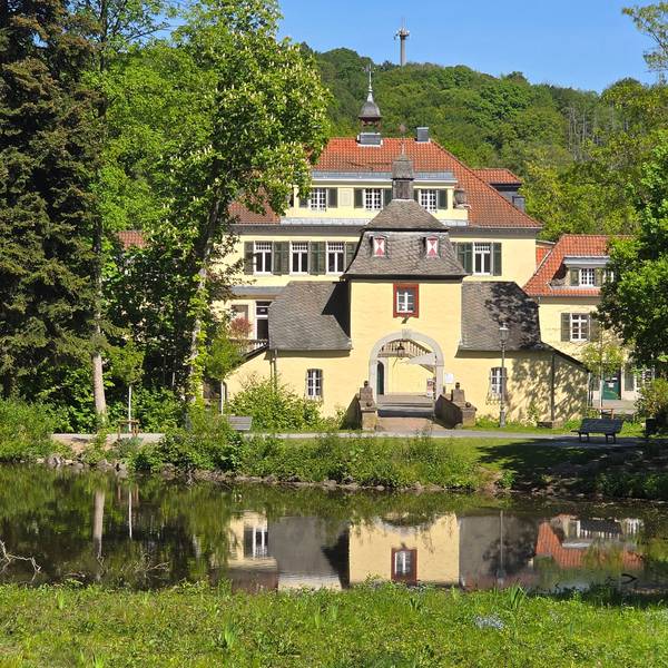 Ein gelb gestrichenes Schloss in der Ferne, davor ein Teich, gesäumt von grünen Bäumen