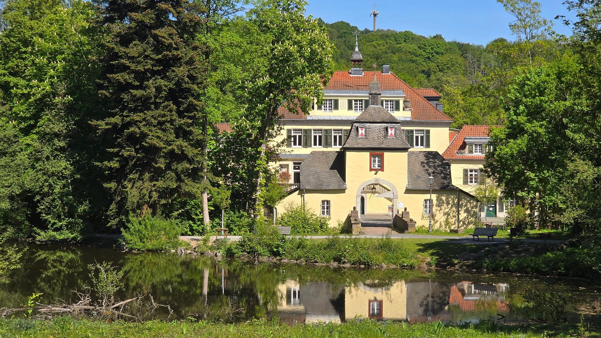 Ein gelb gestrichenes Schloss in der Ferne, davor ein Teich, gesäumt von grünen Bäumen