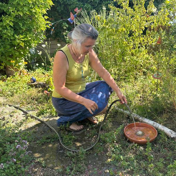 Trinkschüsseln für Tiere im Garten hat auch Biologin Birgit Dannefelser vom Büro für Natur- und Umweltschutz der Stadt Sankt Augustin aufgestellt.