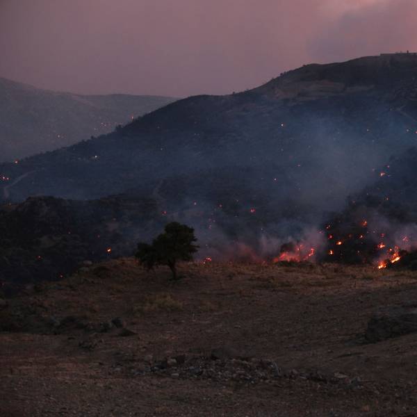 Ein Waldbrand wütet in der Region Rethymno auf der südgriechischen Insel Kreta.
