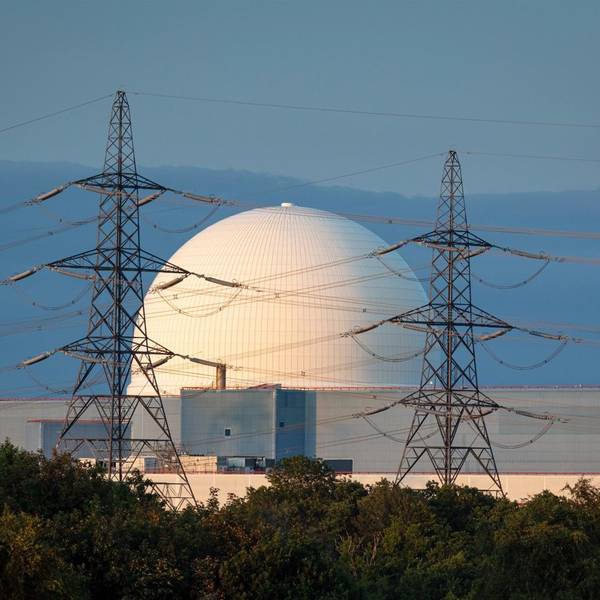In der Nähe des Atomkraftwerks Sizewell B ist ein Waldbrand ausgebrochen. (Archivbild)