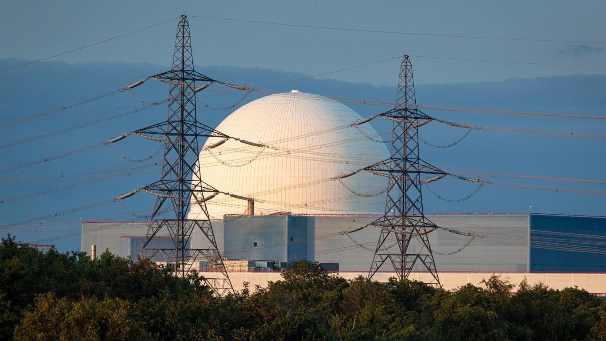 In der Nähe des Atomkraftwerks Sizewell B ist ein Waldbrand ausgebrochen. (Archivbild)