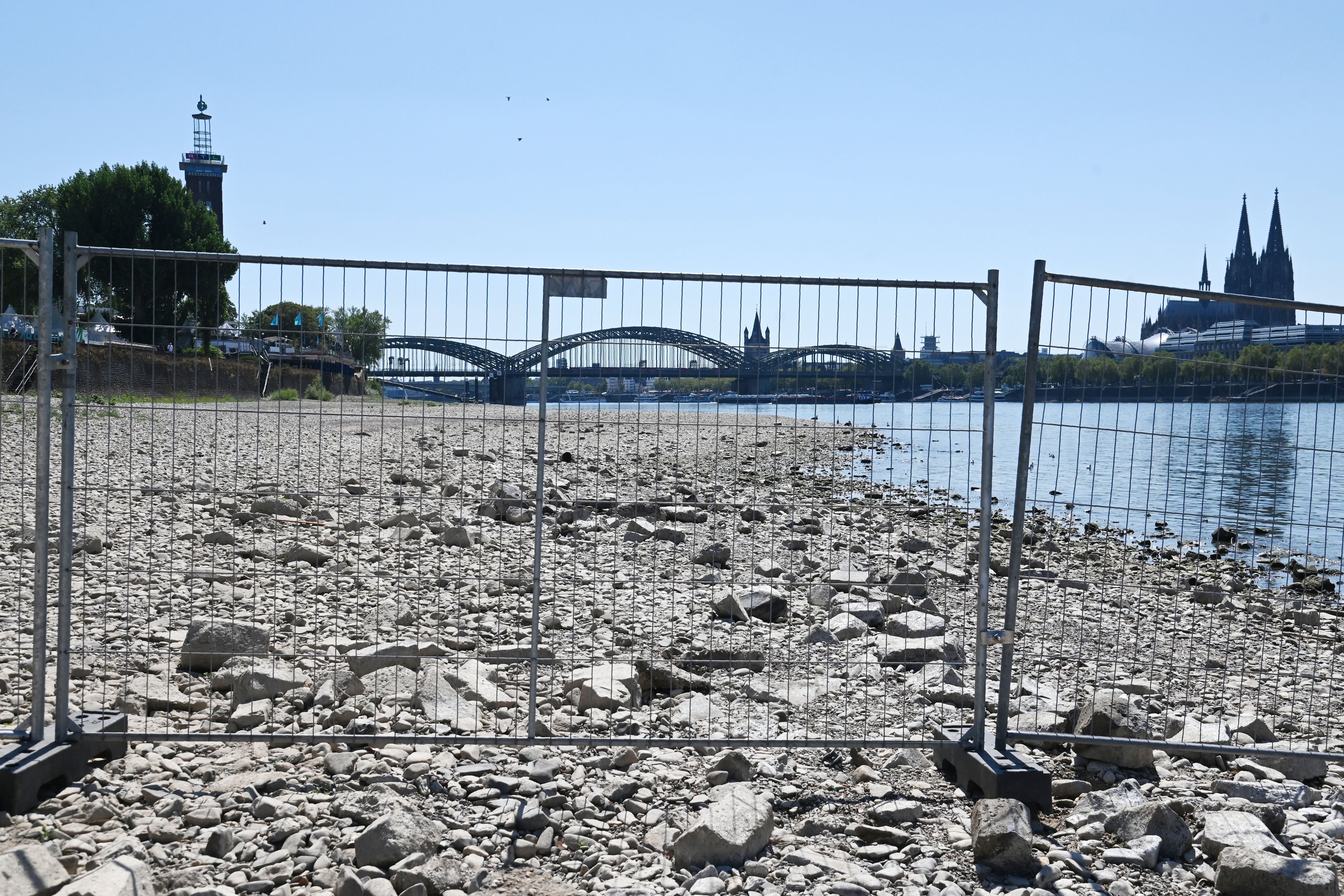 Das Rheinufer vor dem Tanzbrunnen ist mit Gittern abgesperrt. Aufgrund des Niedrigwassers liegen weitere Uferbereiche trocken.
