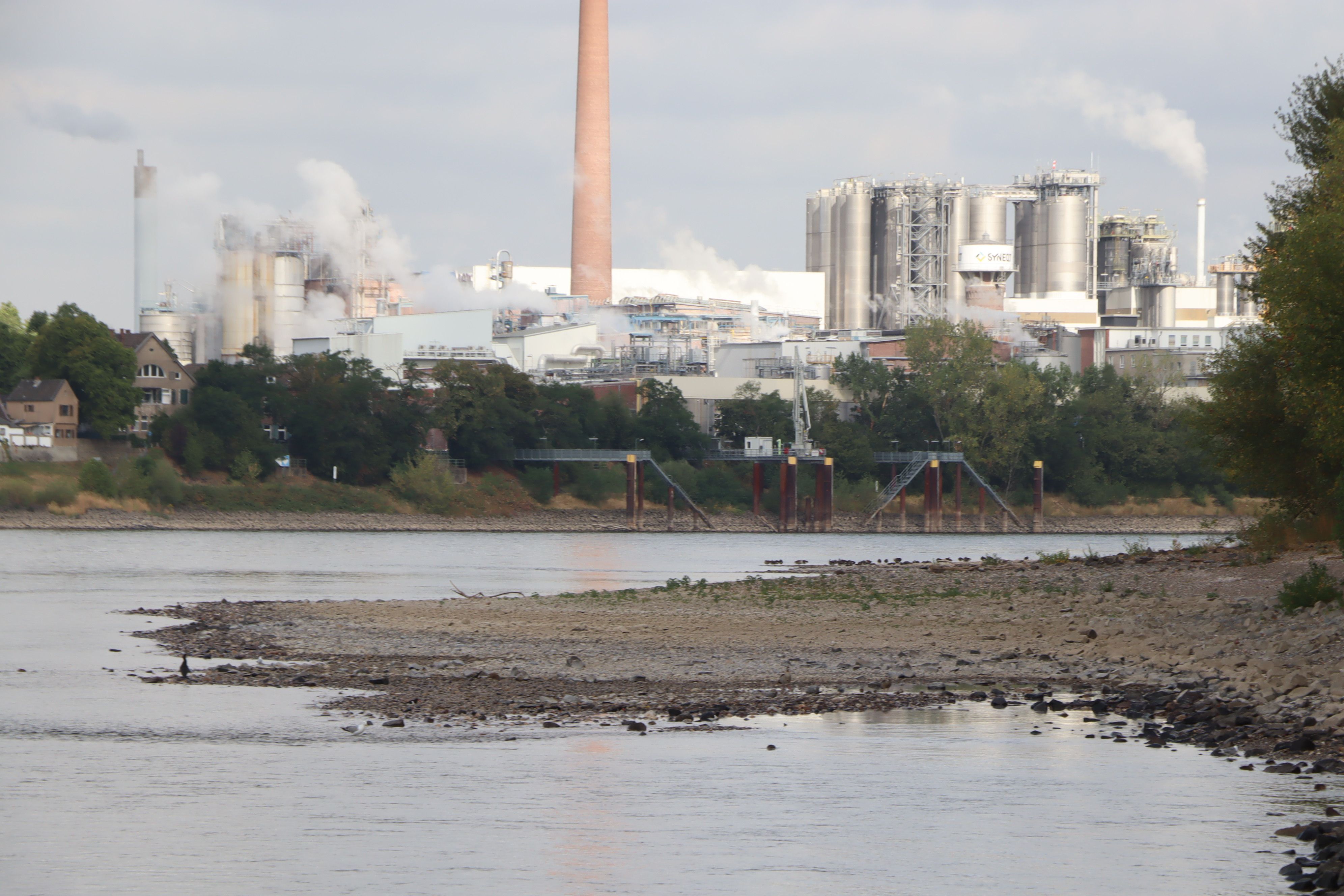 Das aktuelle Niedrigwasser im Rhein bei Bonn und Rhein-Sieg nähert sich einem Allzeit-Tief.