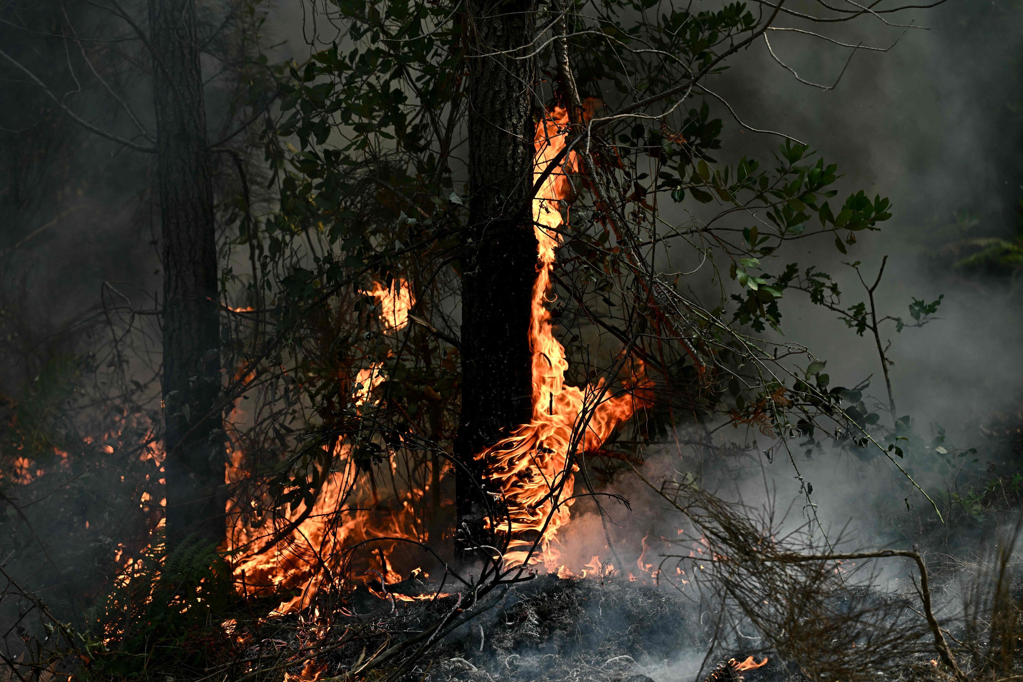Dieses Foto zeigt brennende Vegetation während eines kontrollierten Feuers von Einsatzkräften in einem Wald bei Le Porge nördlich des Bassin d’Arcachon am 30. Juli 2026.