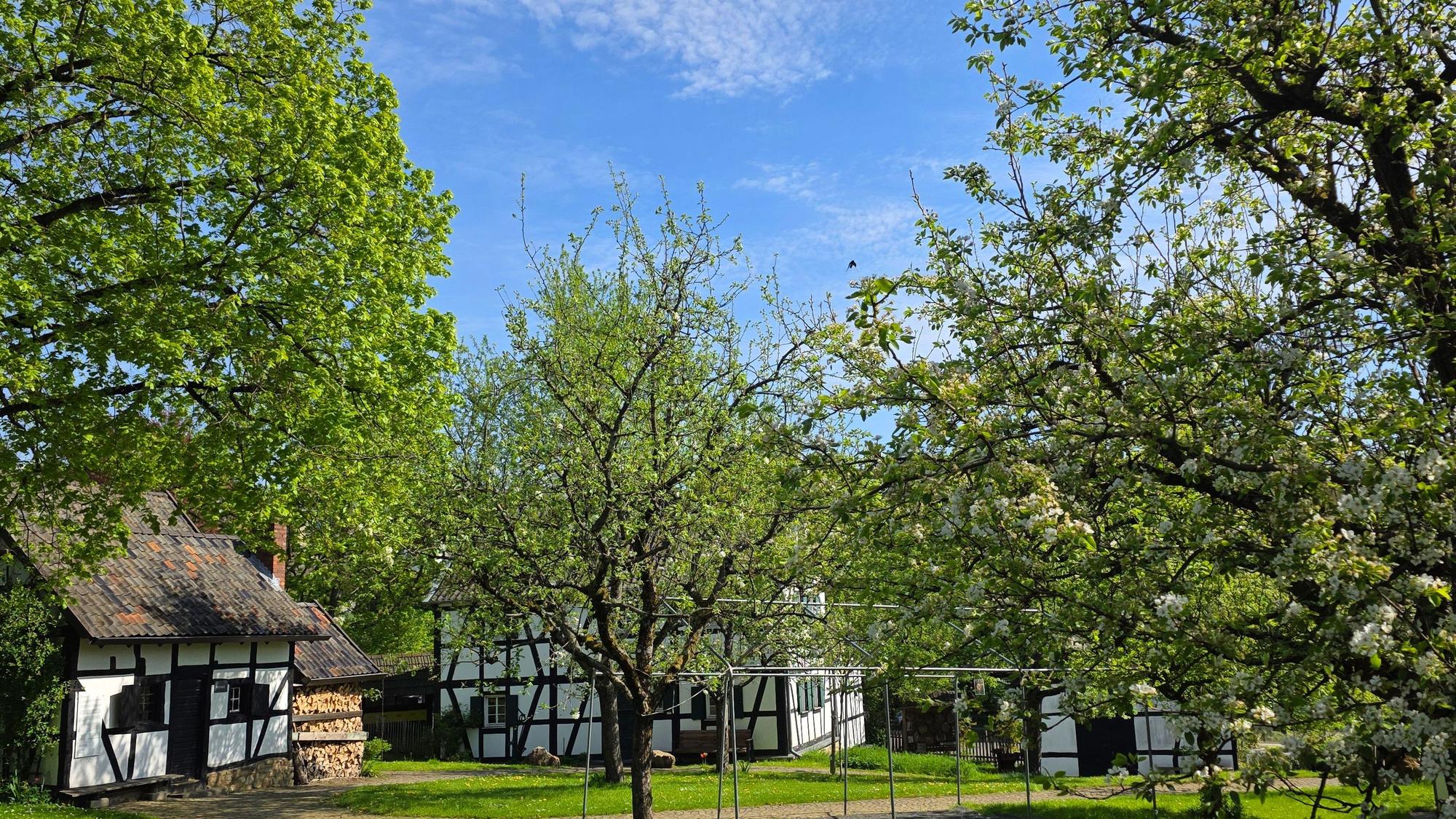 Das Foto zeigt das Außengelände des Bergischen Museums
