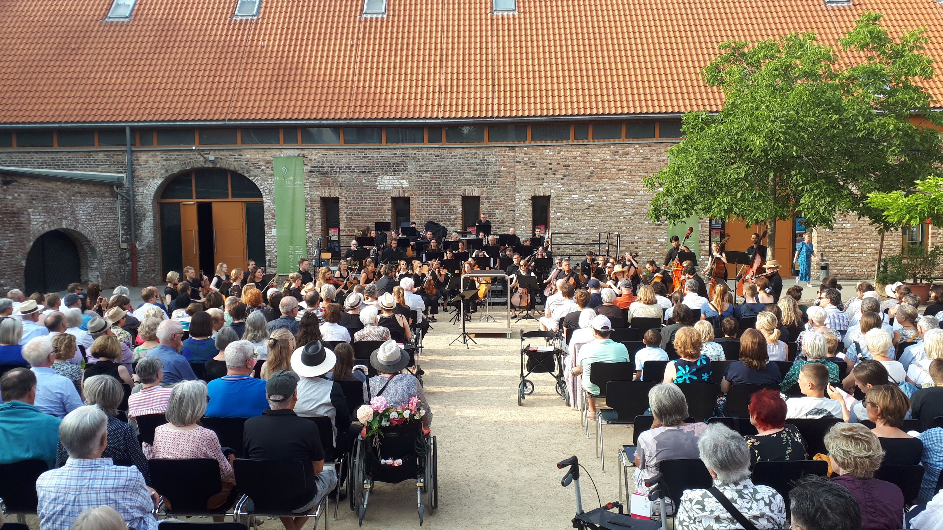 Rund 300 Gäste kamen zum Open-Air-Konzert des Flora-Sinfonie-Orchesters. Zugleich war es die Premiere für den neuen Dirigenten Sejoon Park.