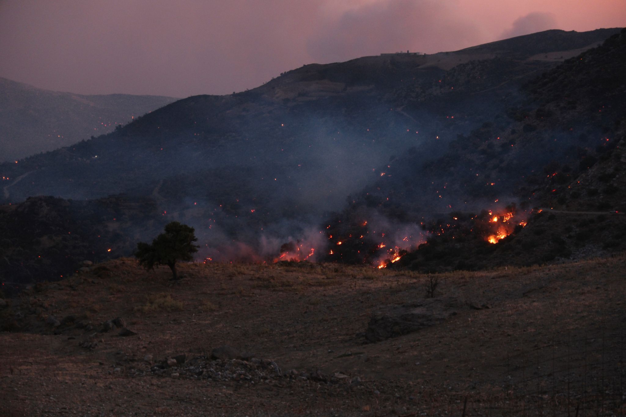 Waldbrände in Griechenland - Kreta