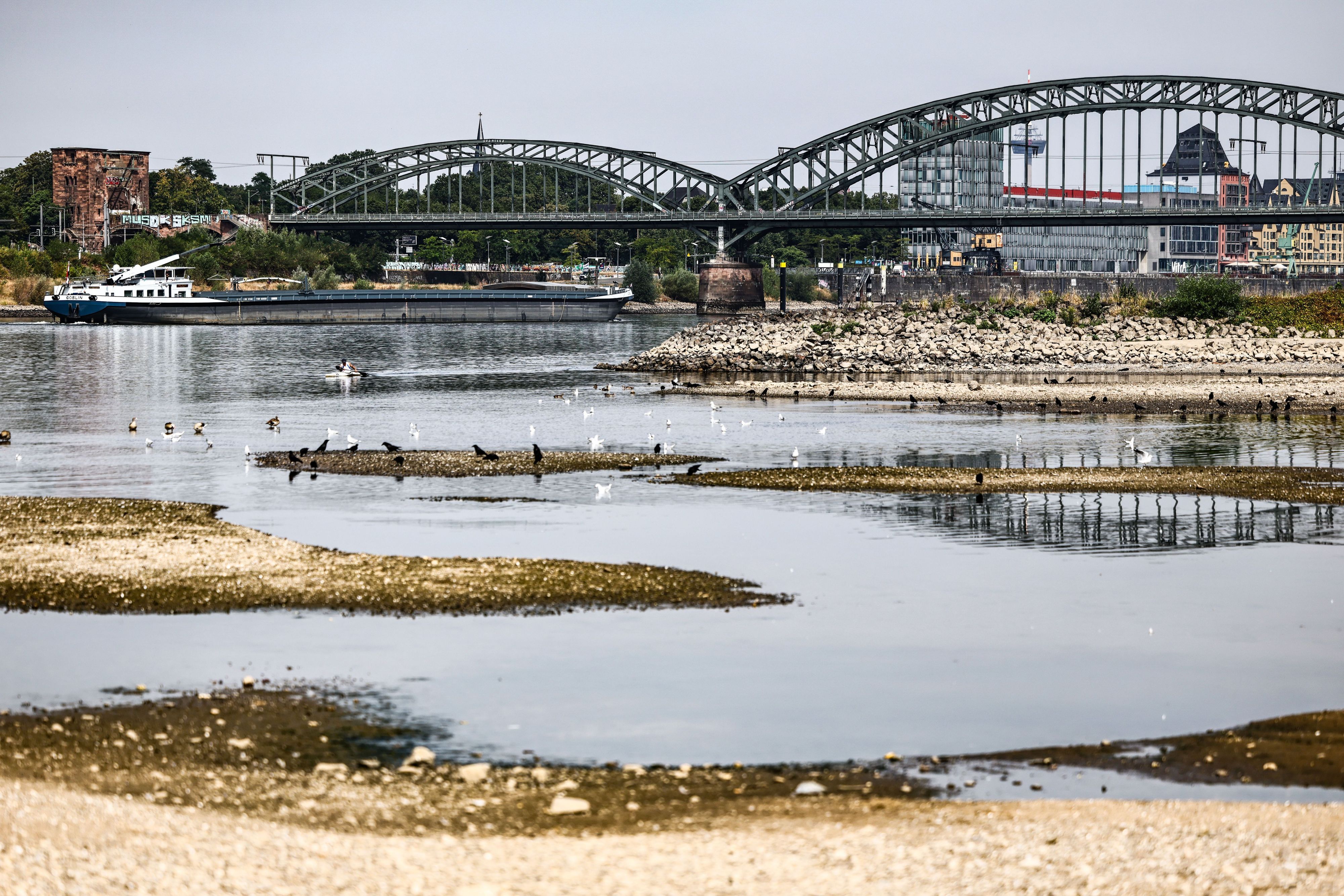 dpatopbilder - 31.07.2026, Nordrhein-Westfalen, Köln: Ein Binnenschiff fährt bei niedrigem Pegelstand unter der Südbrücke über den Rhein. Foto: Oliver Berg/dpa +++ dpa-Bildfunk +++