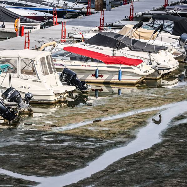 Boote liegen am Freitag (31. Juli) im Kölner Rheinauhafen auf Grund.