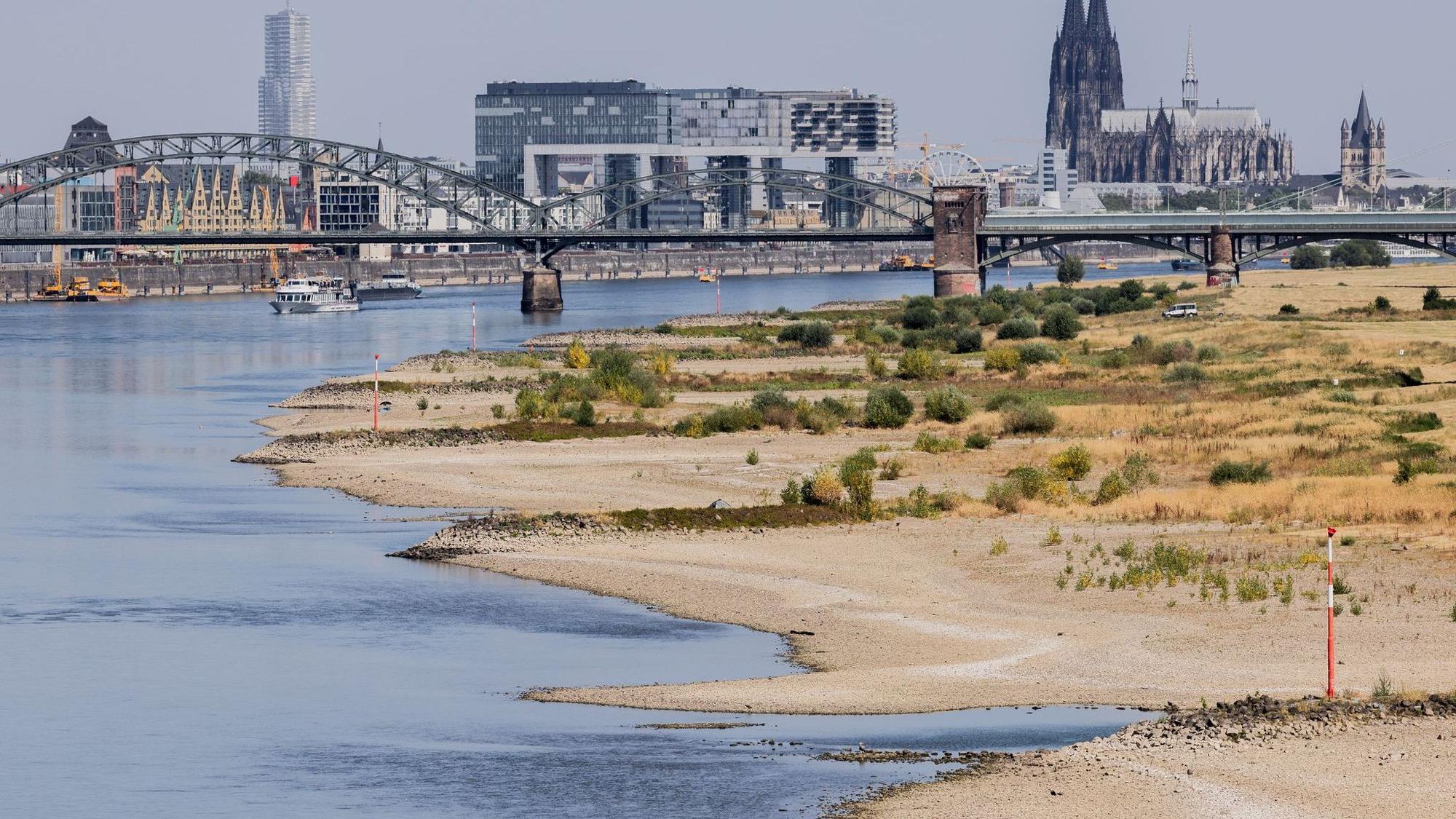 Niedrigwasser am Rhein - Köln
