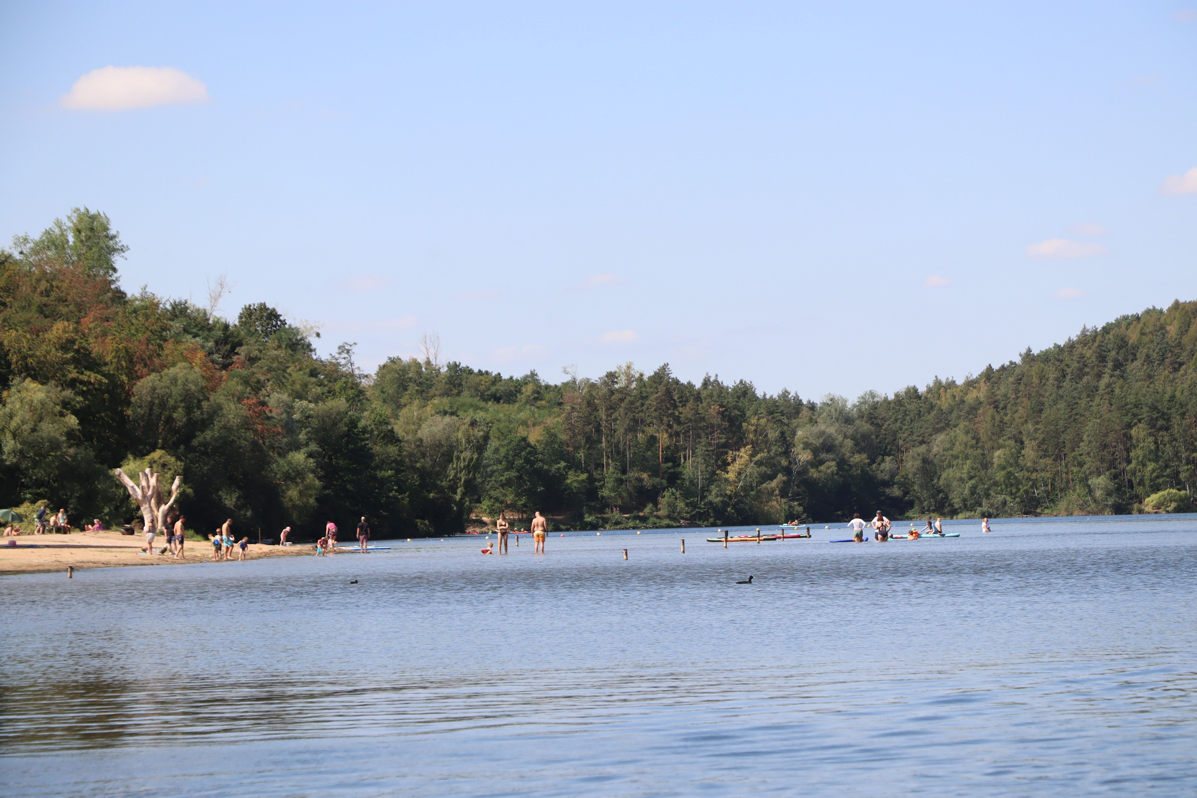 Das Bild zeigt mehrere Personen im Wasser am Heider Bergsee.