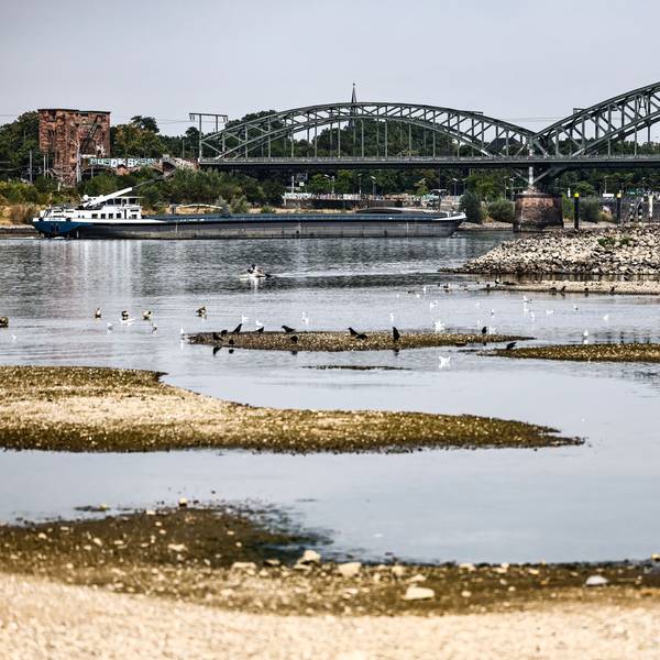 Niedrigwasser am Rhein in Köln