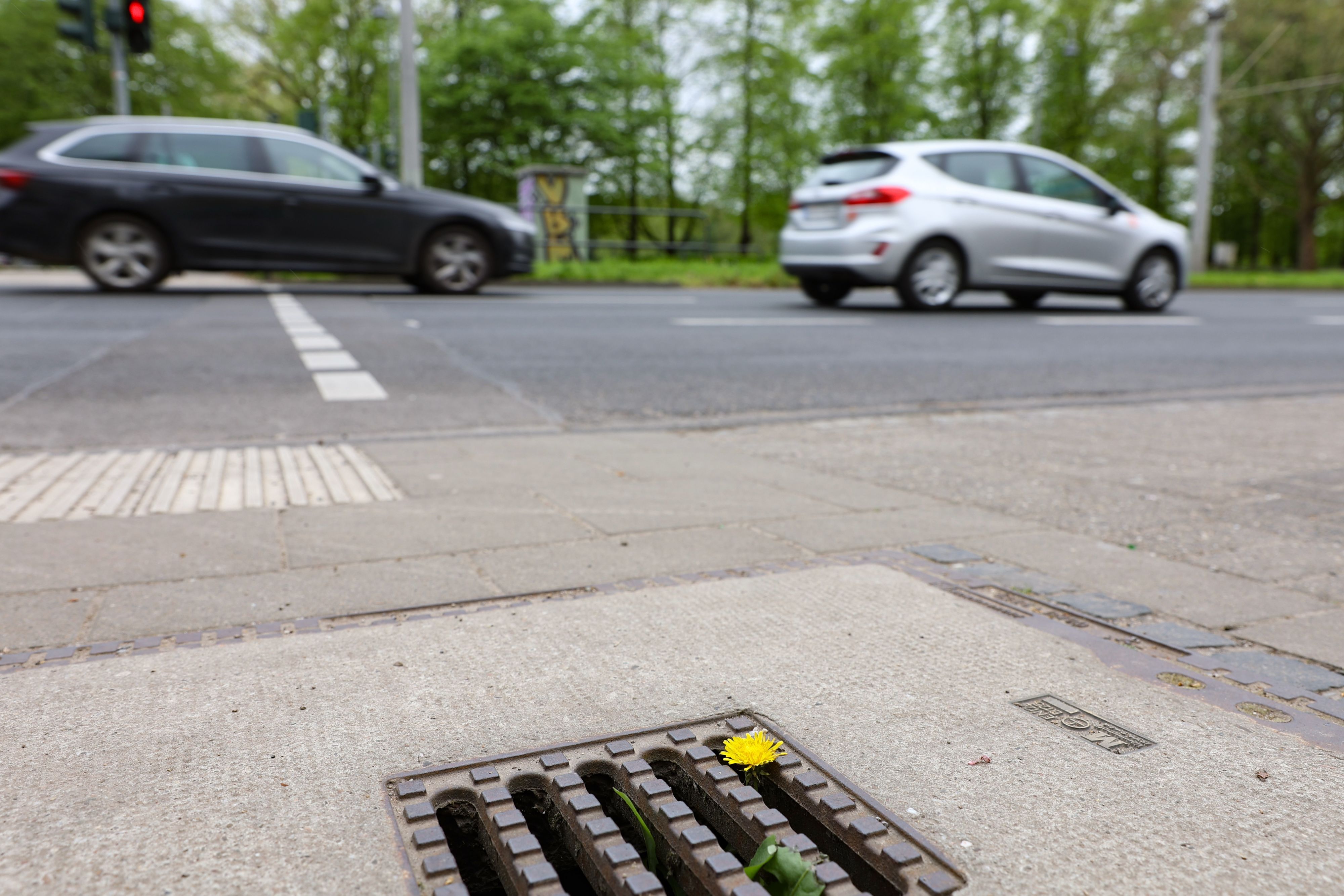 Gully an der Aachener Straße: In Köln riecht es nur gelegentlich aus den Abwasser-Kanälen.