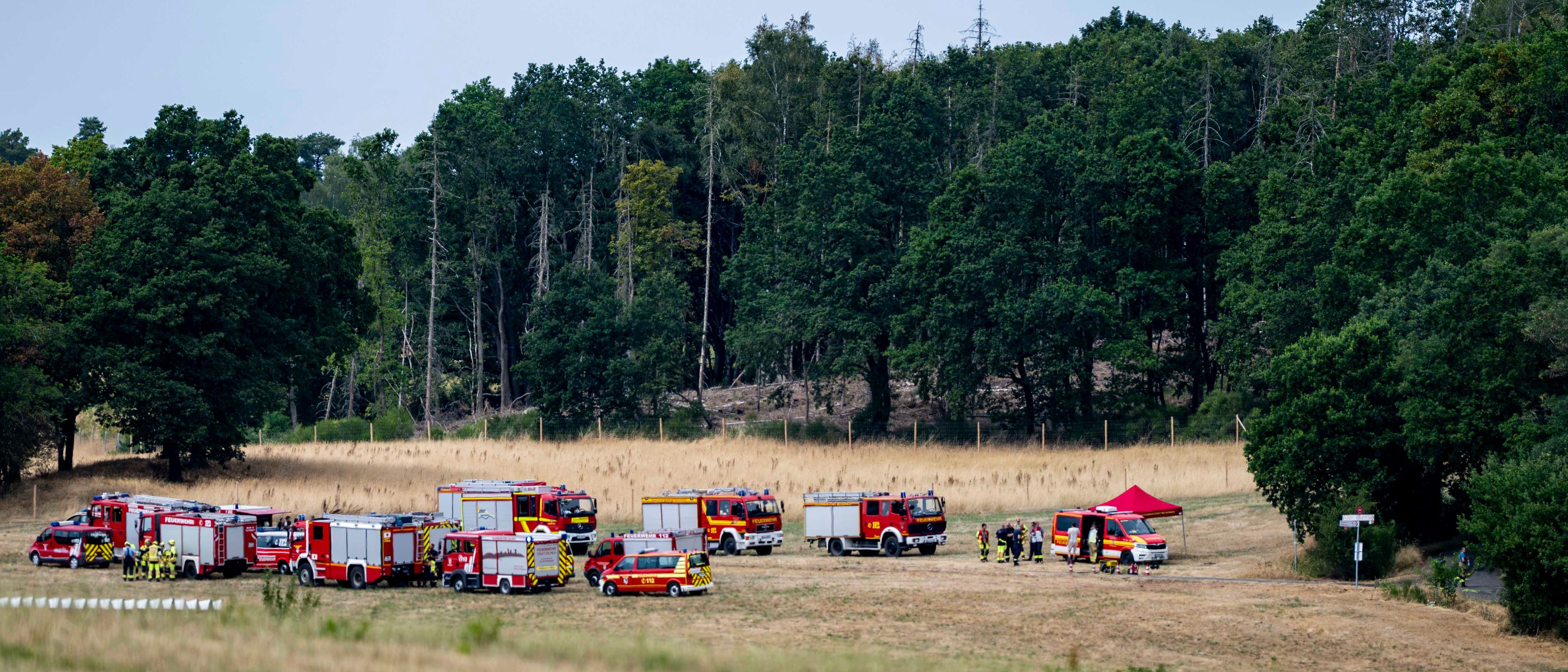 Das Bild zeigt zahlreiche Feuerfahrzeuge am Waldrand.