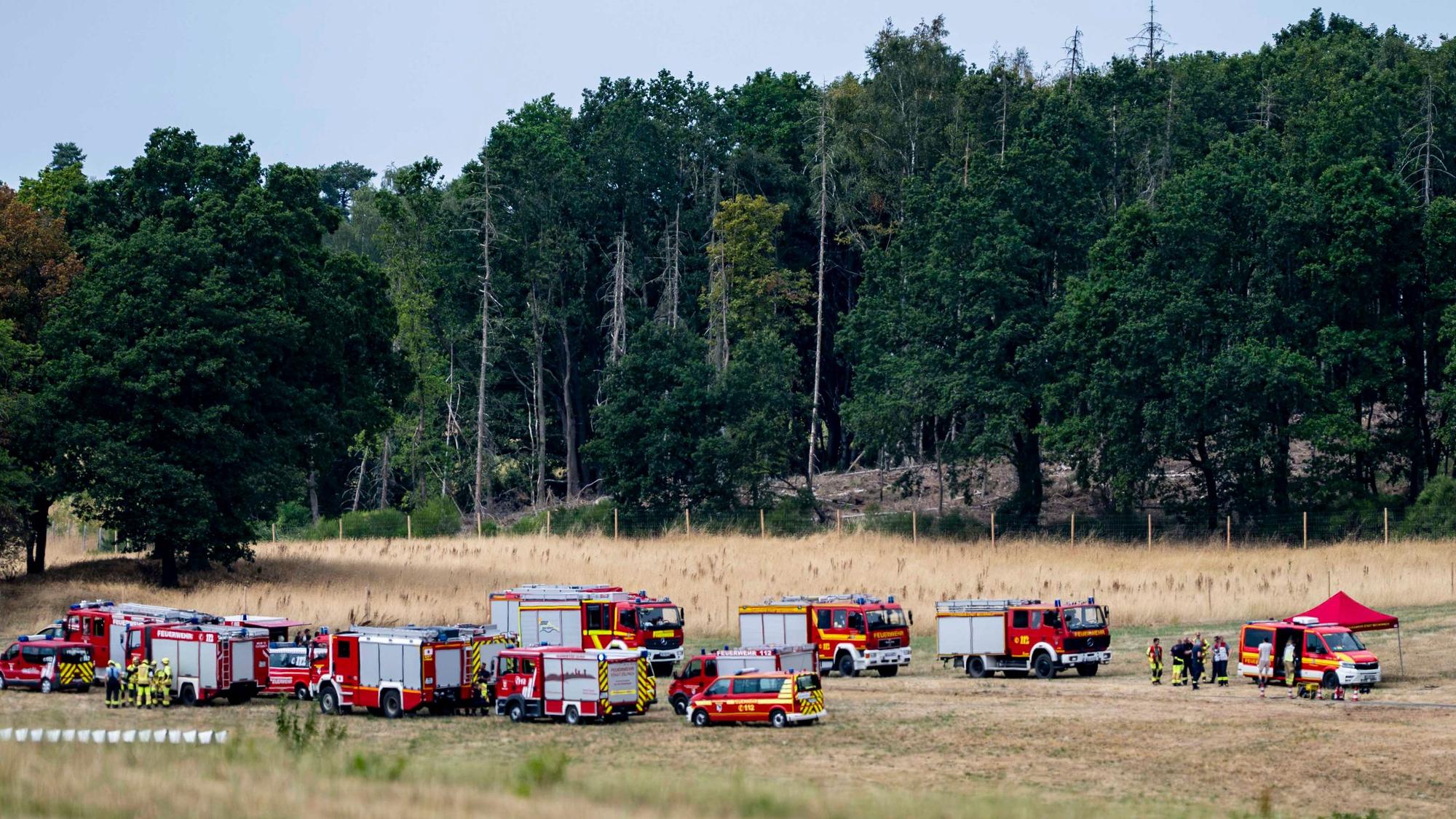 Das Bild zeigt zahlreiche Feuerfahrzeuge am Waldrand.