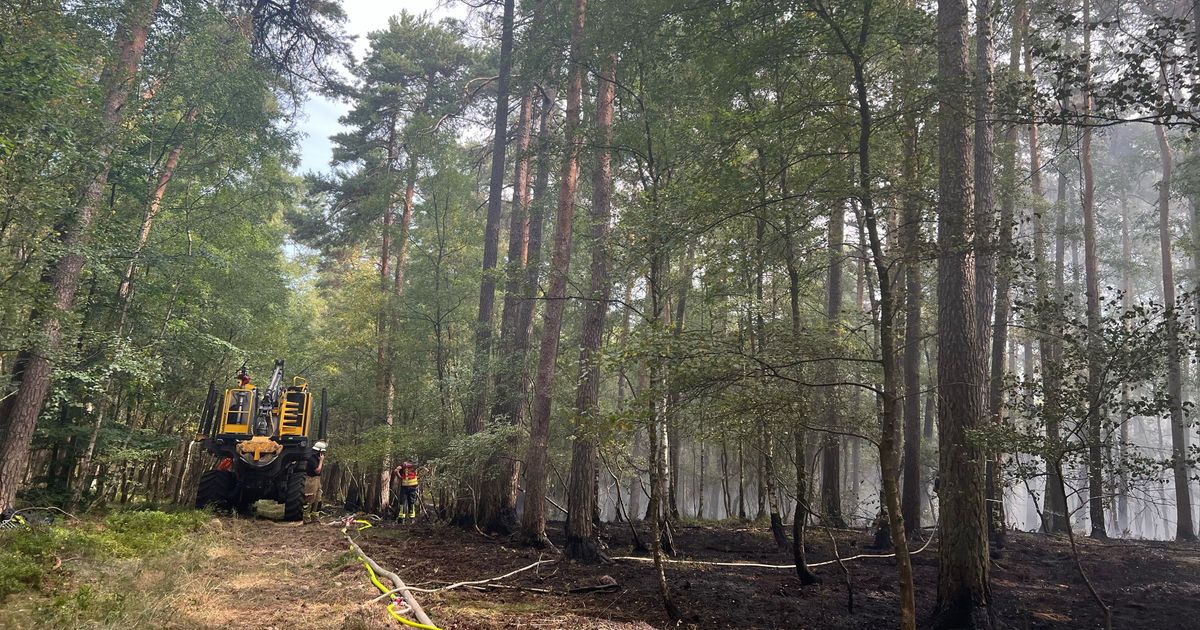 Premiere for special vehicle: Forest floor fire in the Eifel National Park ...