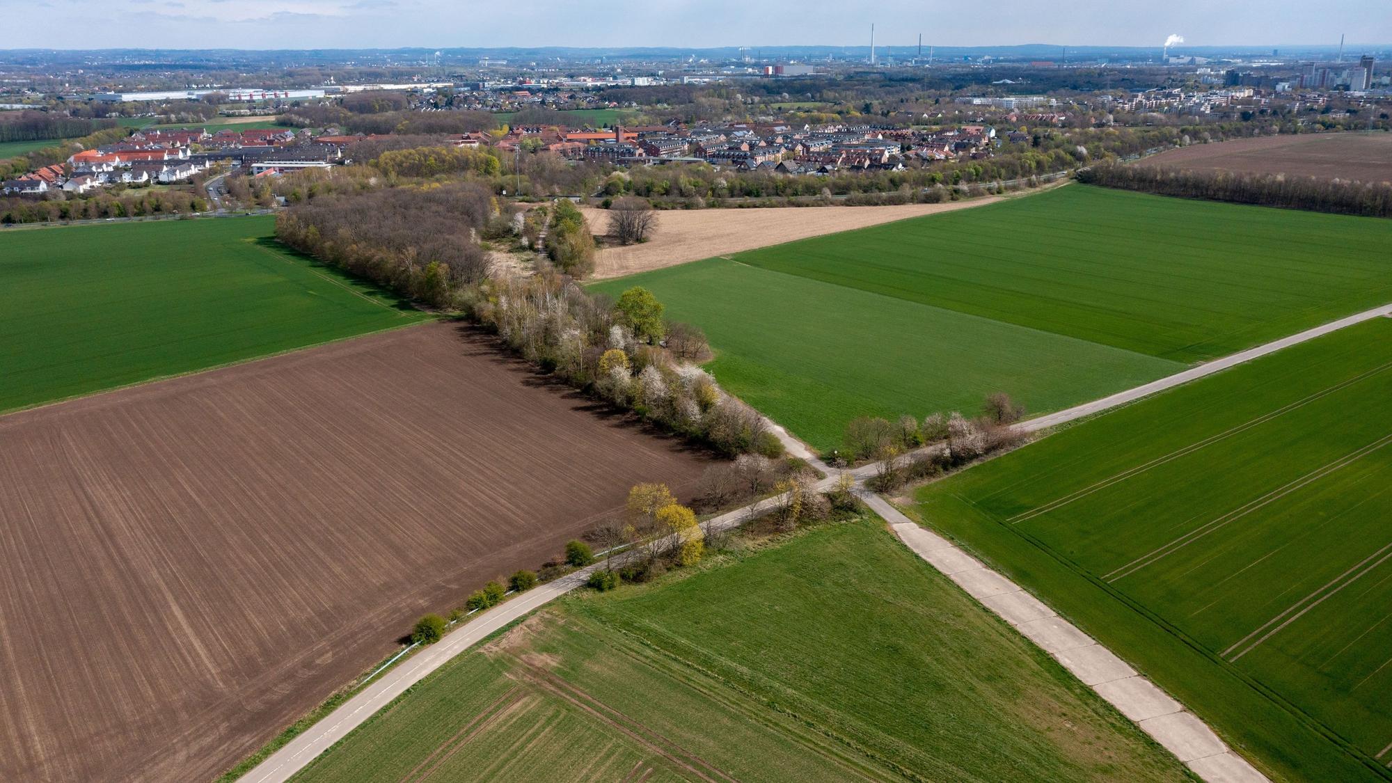Wenn das geplante neue Viertel Kreuzfeld im Kölner Norden gebaut wird, müssten diese Äcker weichen (Archivbild).