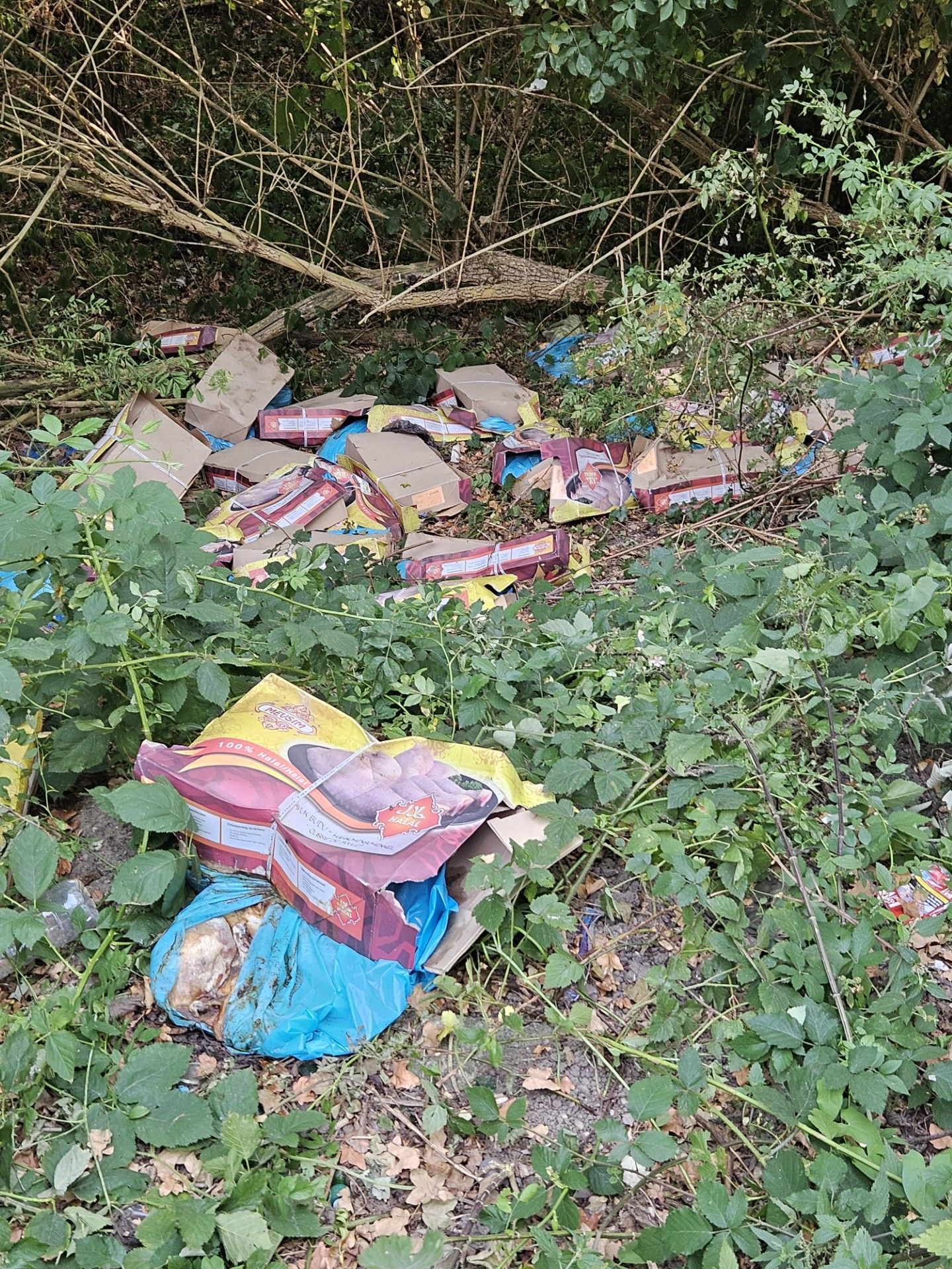Das vergammelnde Fleisch im Karton