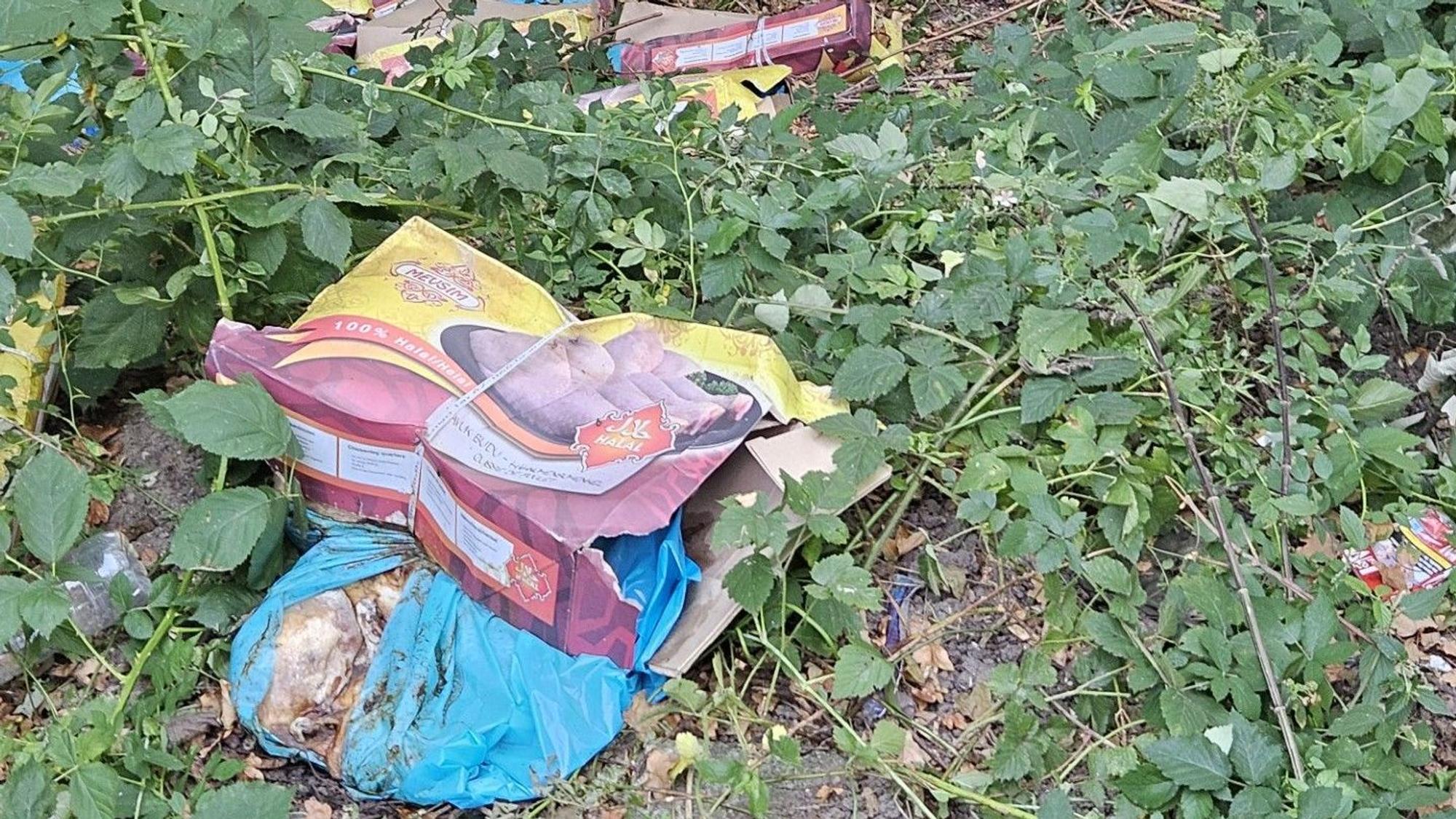 Das vergammelnde Fleisch im Karton
