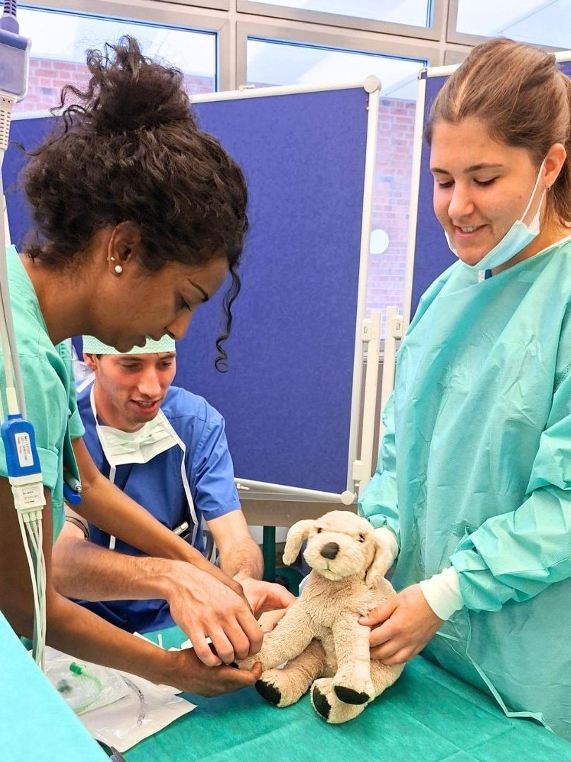 ein Stofftierhund sitzt auf einem OP-Tisch und wird vom Klinikpersonal untersucht