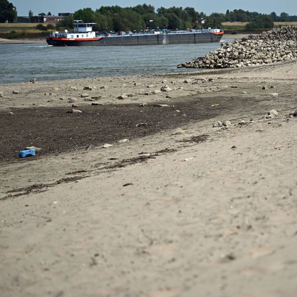 Ein Frachtschiff fährt bei Niedrigwasser auf dem Rhein.