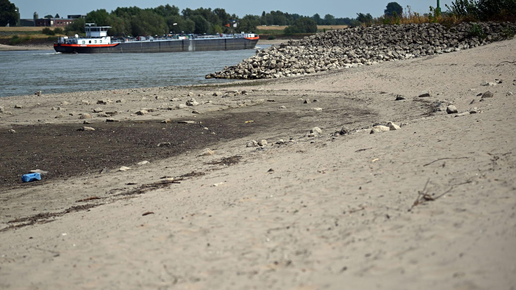 Ein Frachtschiff fährt bei Niedrigwasser auf dem Rhein.