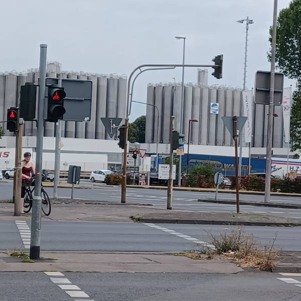 Blick auf die schmale Mittelinsel des Überwegs über die Industriestraße. Die Politik fordert hier Abhilfe.