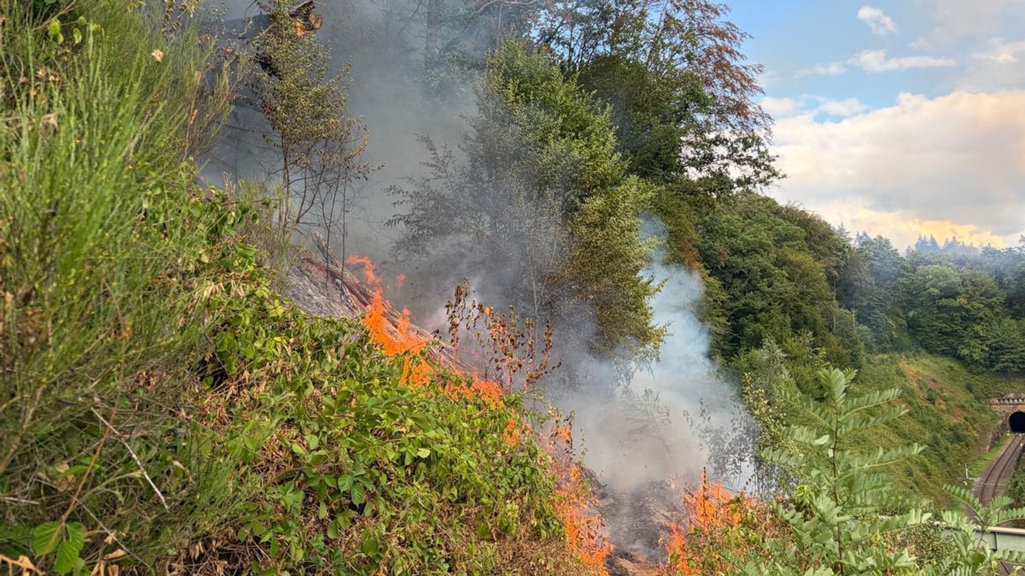 Waldbrand am Lüderich in Rösrath.