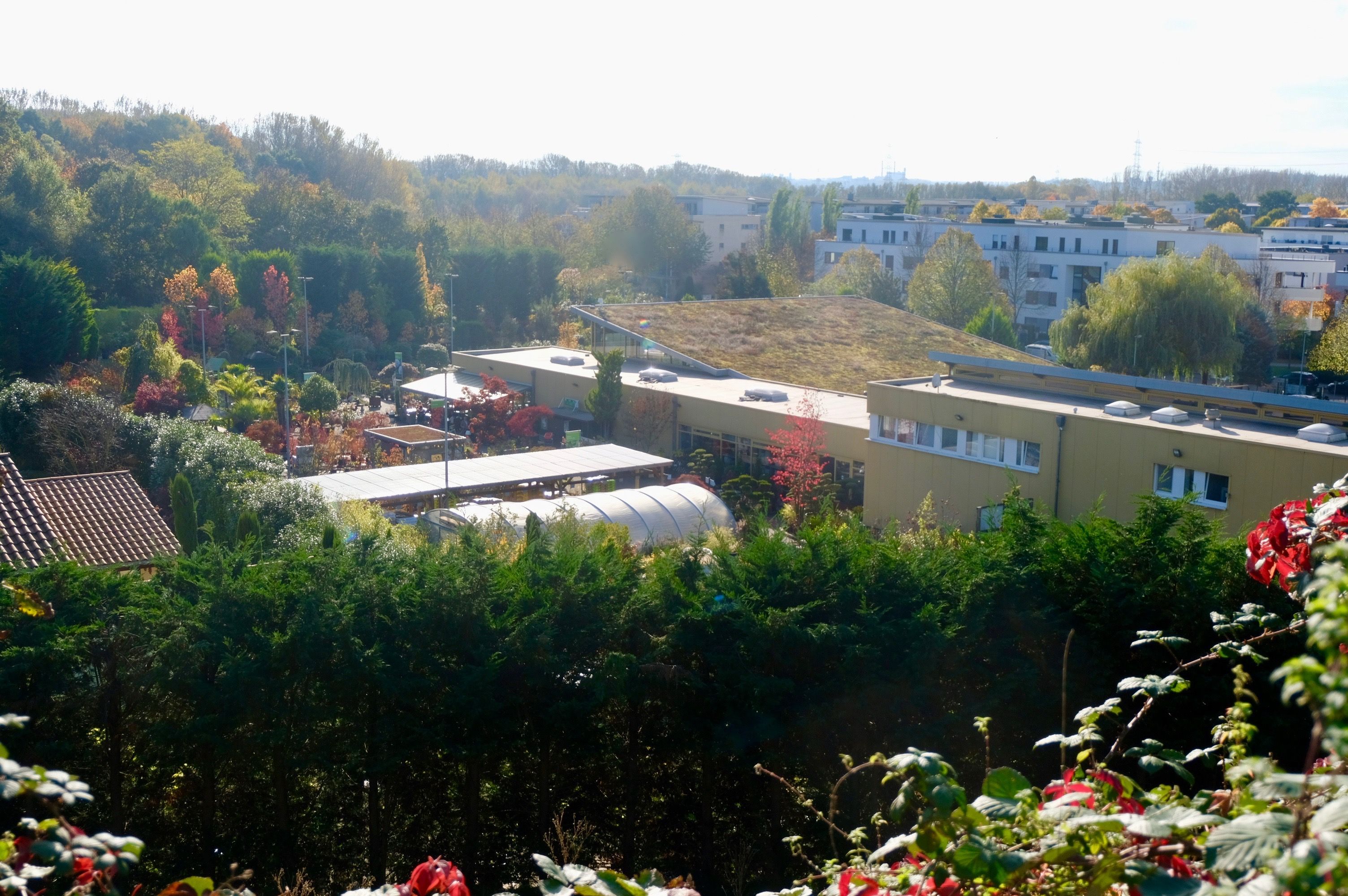Das Areal des Gartenbaubetriebes Müller liegt eingebettet im Grün.