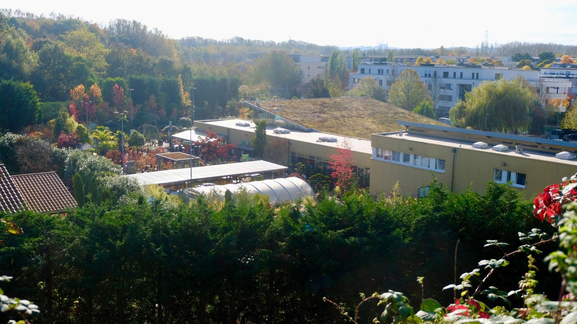 Das Areal des Gartenbaubetriebes Müller liegt eingebettet im Grün.