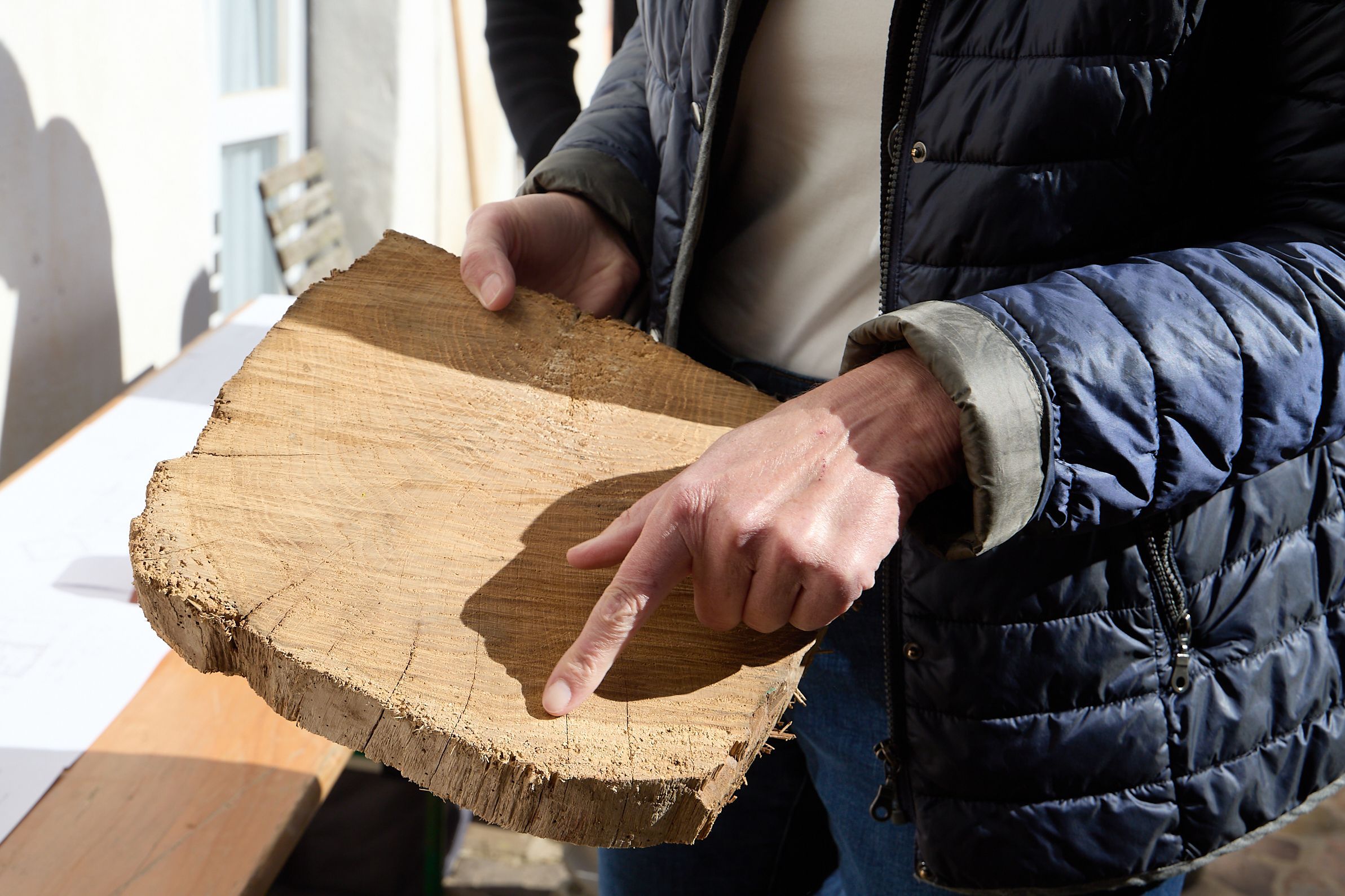 Eine Frau hält eine Scheibe aus einem Holzbalken und zeigt mit einem Finger darauf.